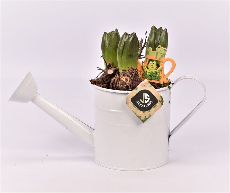 Zink gieter 13cm, D 14