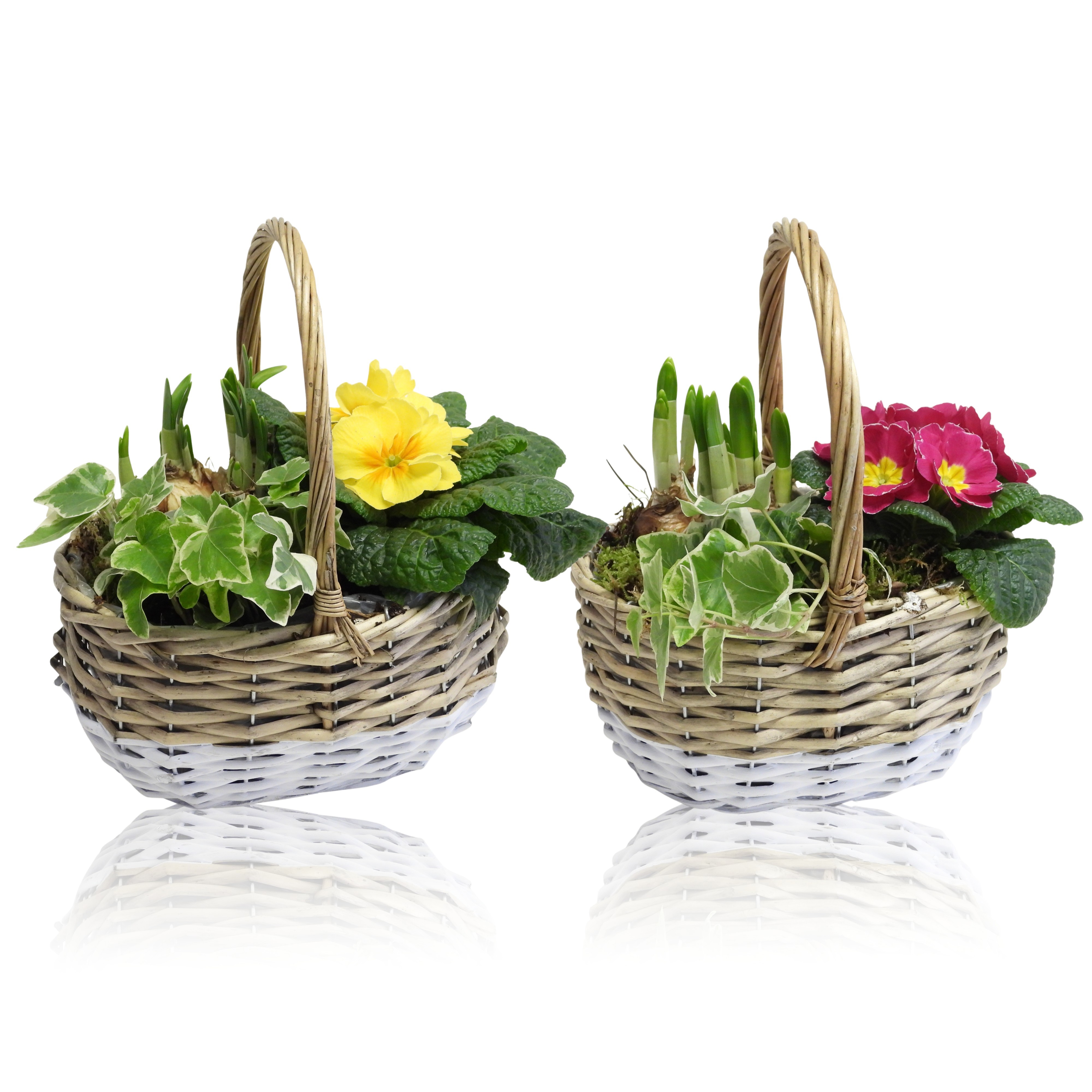 Early Spring Specials Arrangement Narcis Mand met Hengsel Ovaal 22 cm, D 22