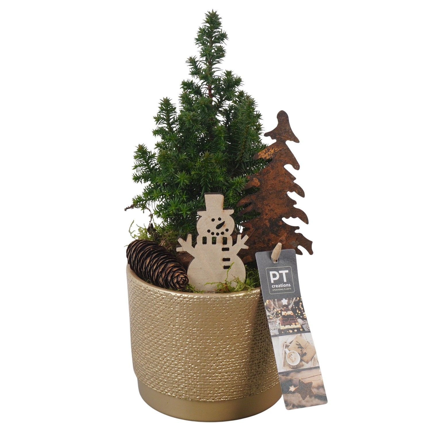 PTCWW6928 Arrangement Winter in keramiek pot, D 12 cm