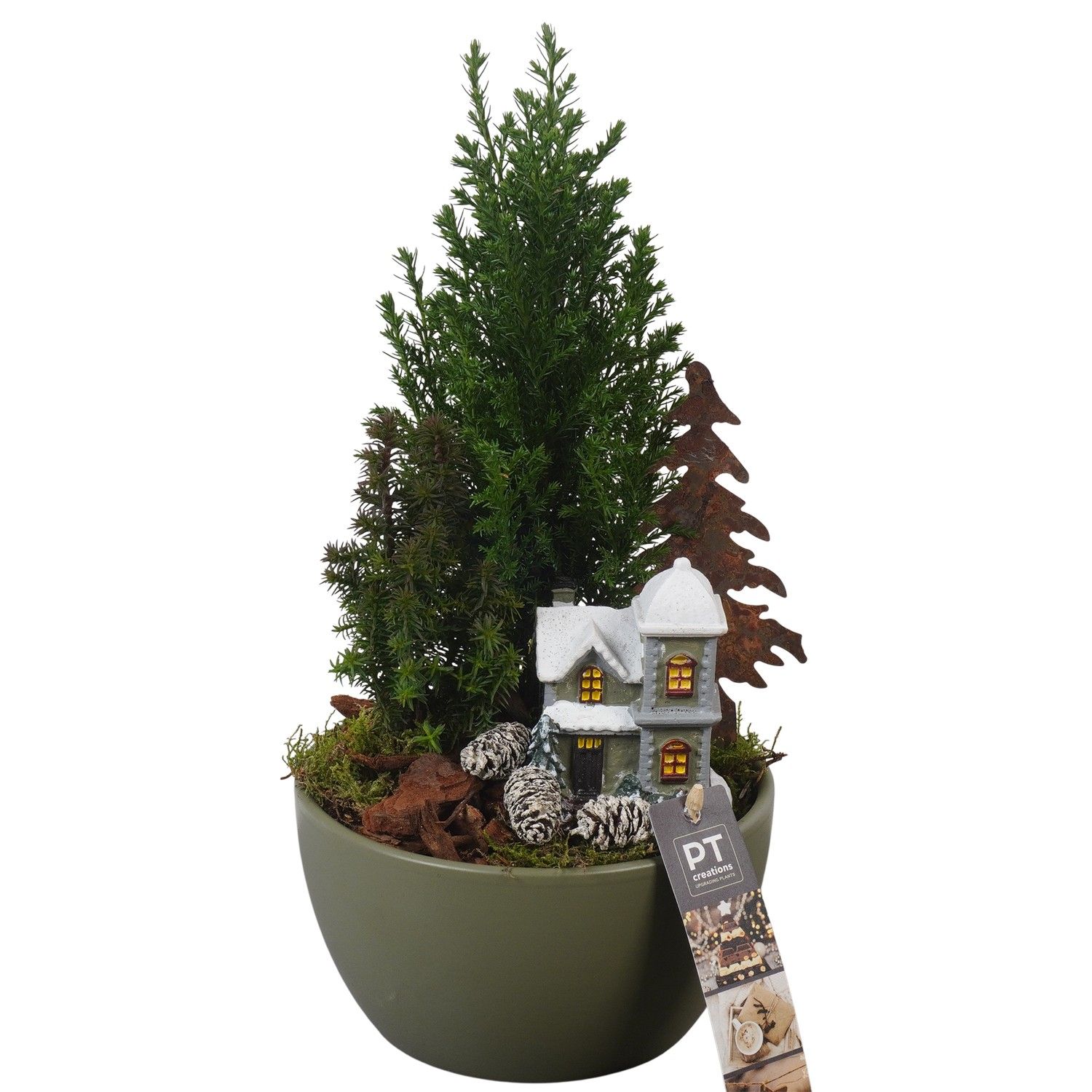 PTCWW6922 Arrangement Winter in keramiek schaal, D 15 cm