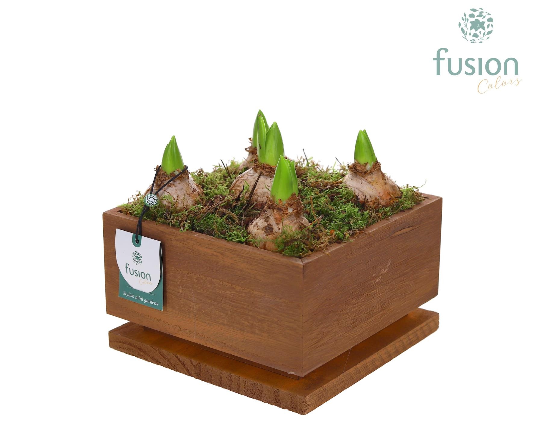 The Lighting Garden LED Large met Hyacinten, D 19