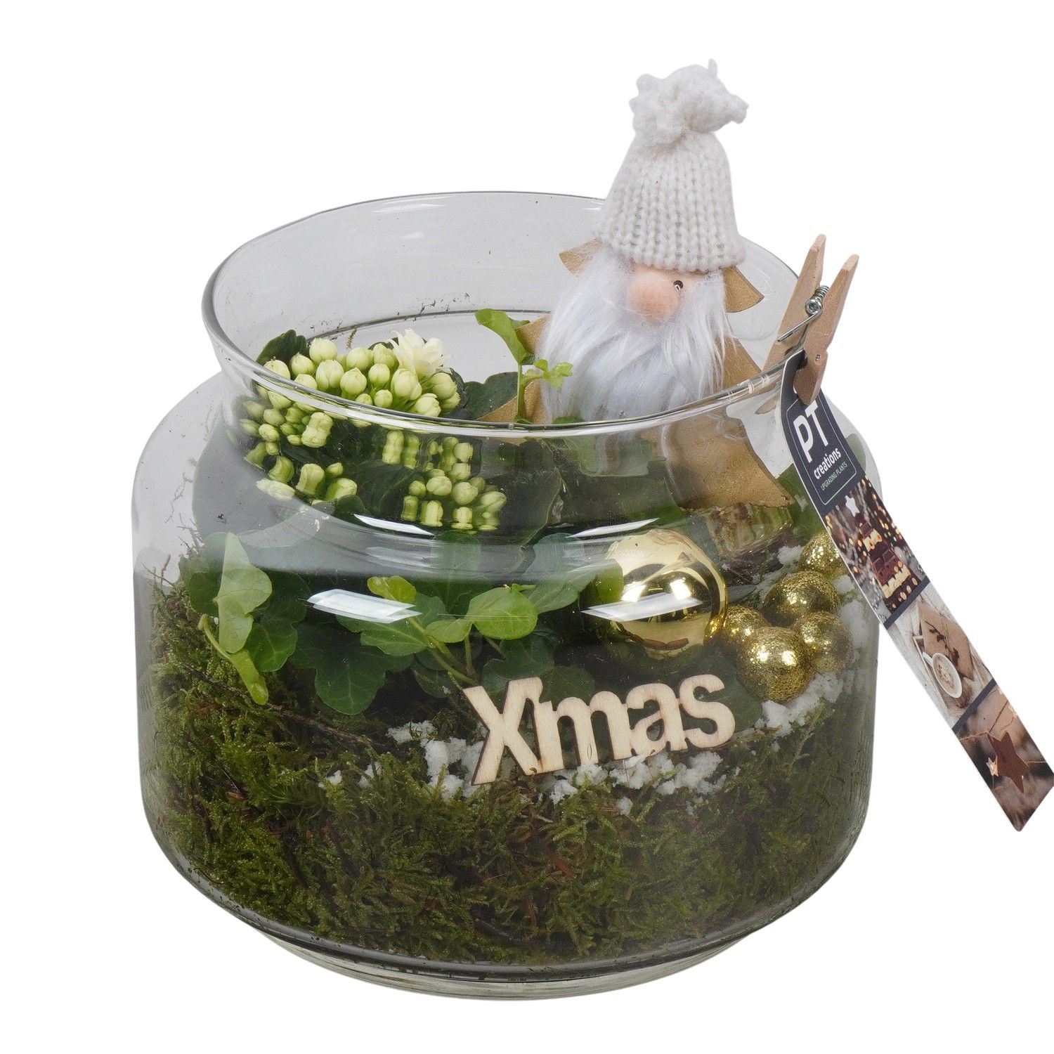 PTCHG5741 Arrangement Christmas Gold in glazen pot, D 18 cm