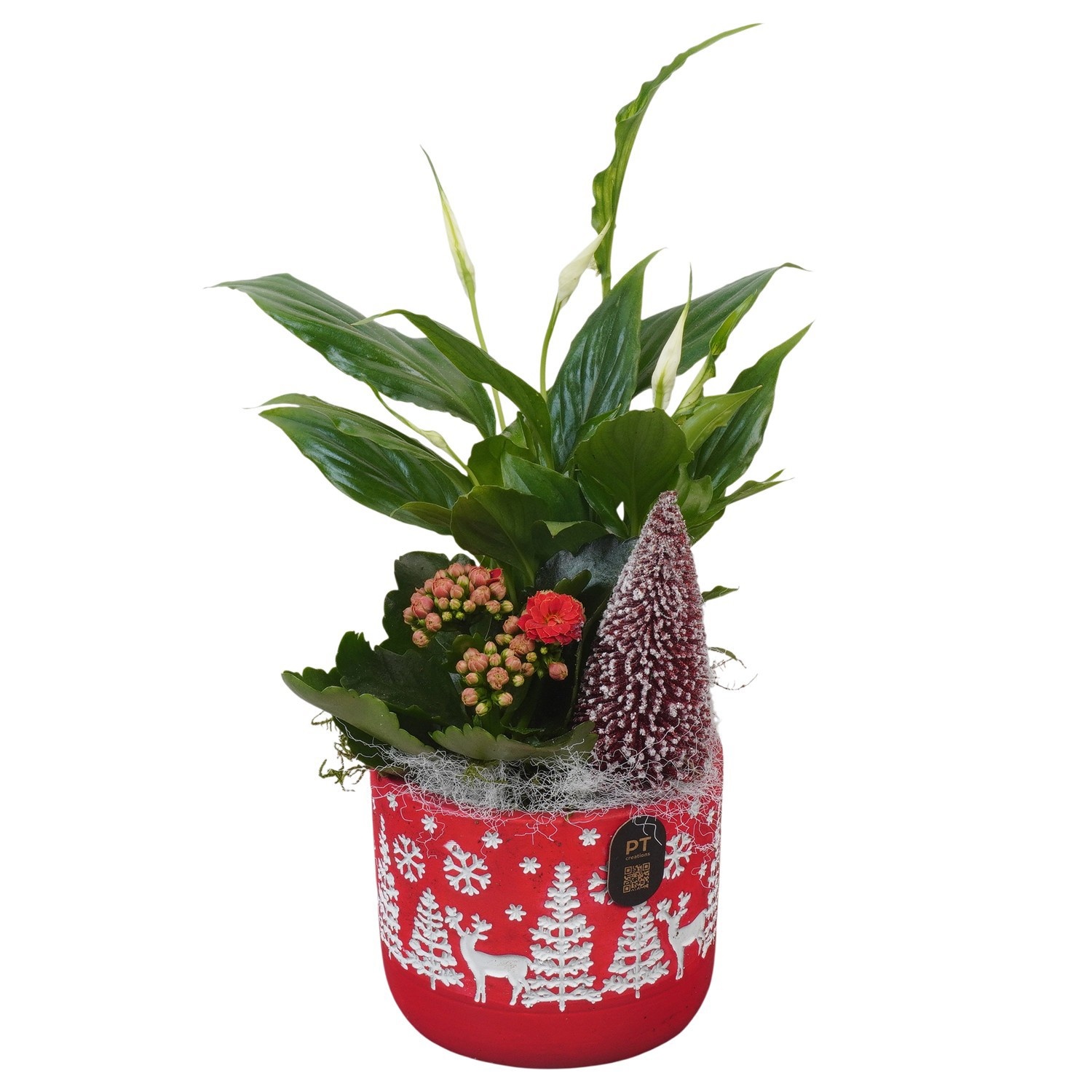 PTCHR9563 Arrangement Christmas Red in beton pot, D 11