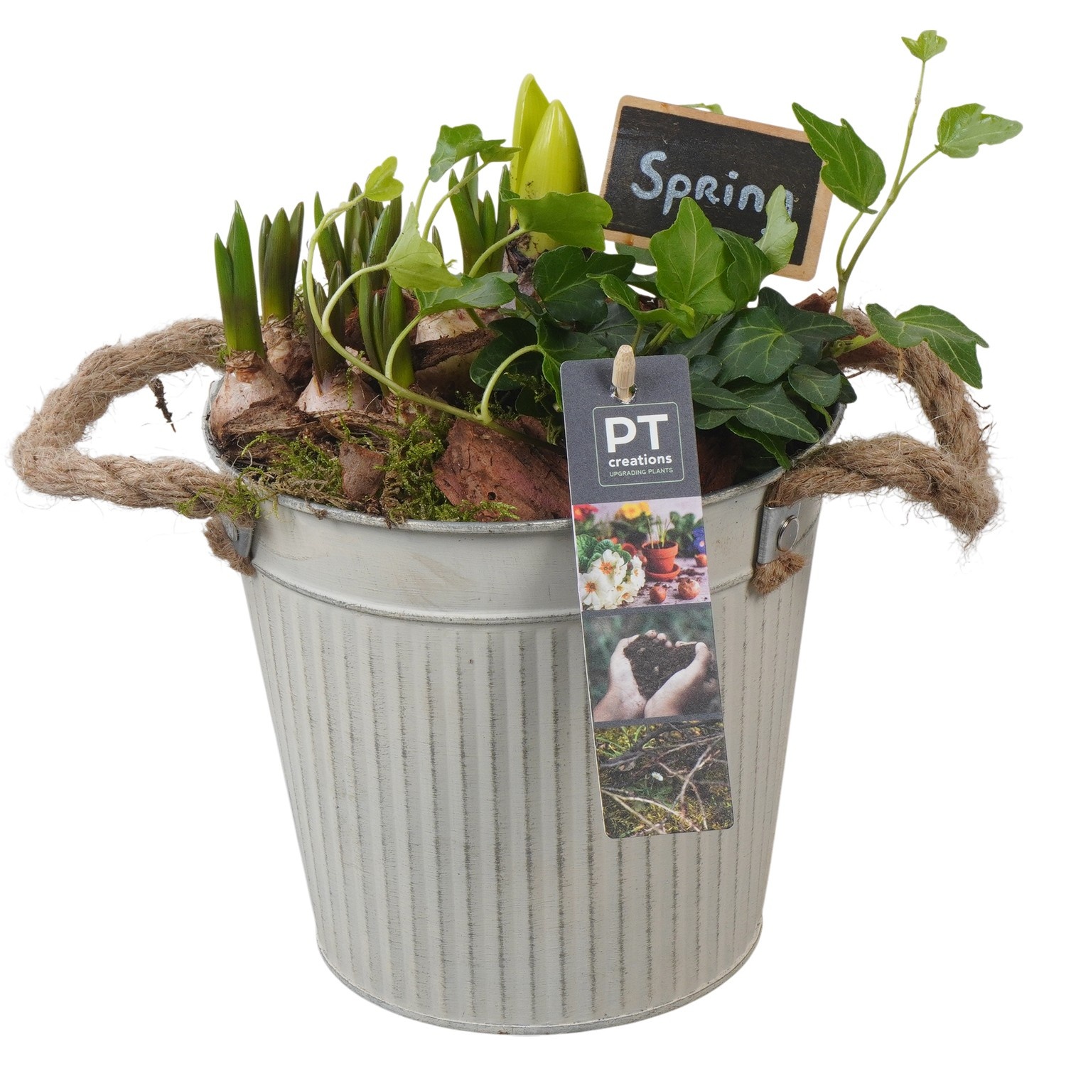 PTBM3774 Arrangement Flower Bulbs Mix in metalen pot, D 16