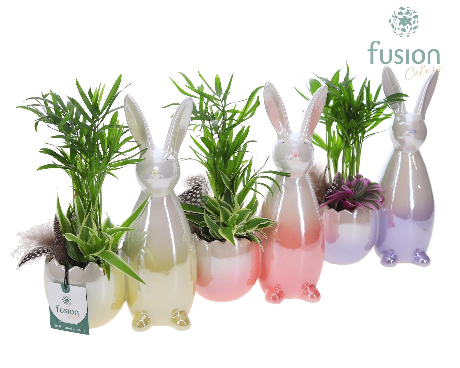 Pot keramiek Haas Pasen 3 kleuren Small met arrangement, D 17