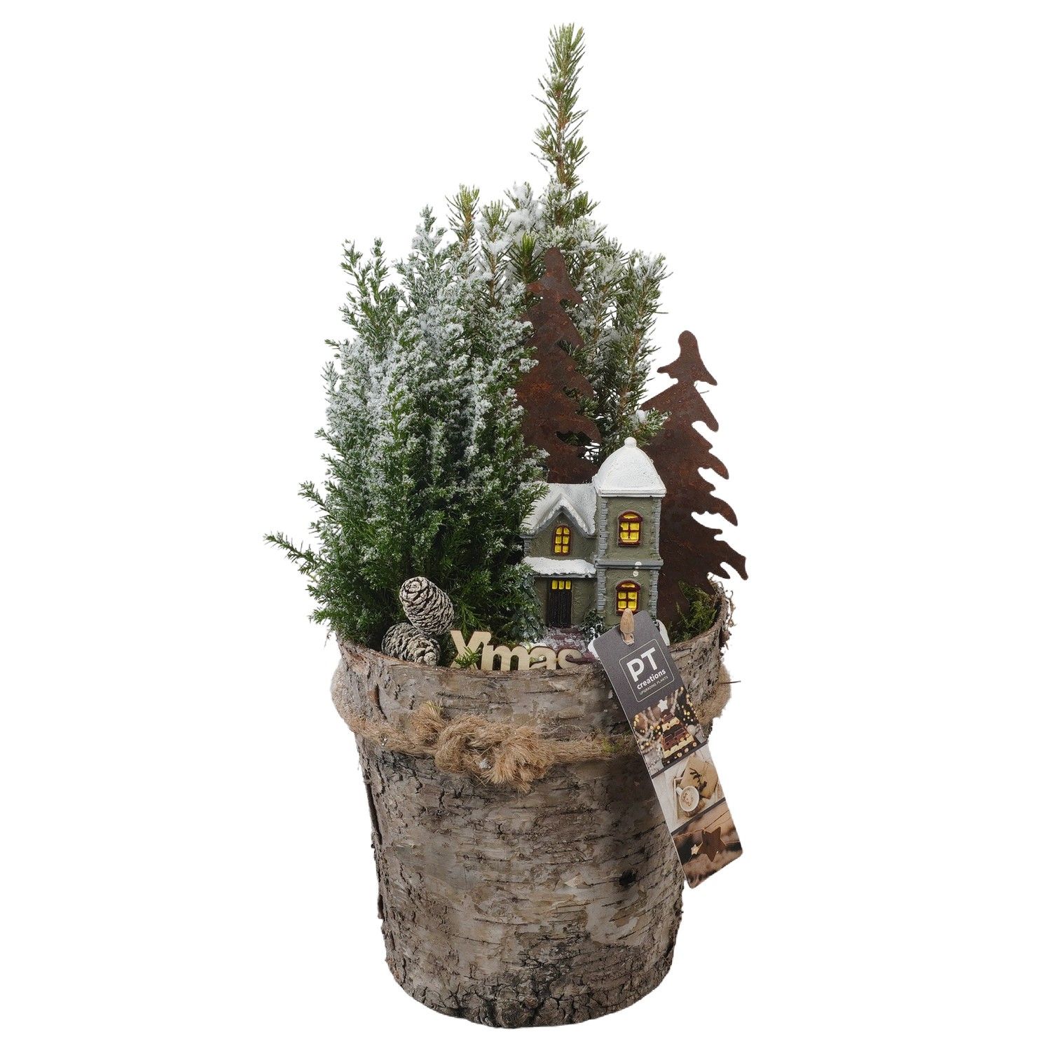 PTCWW6878 Arrangement Winter in houten bak, D 15 cm