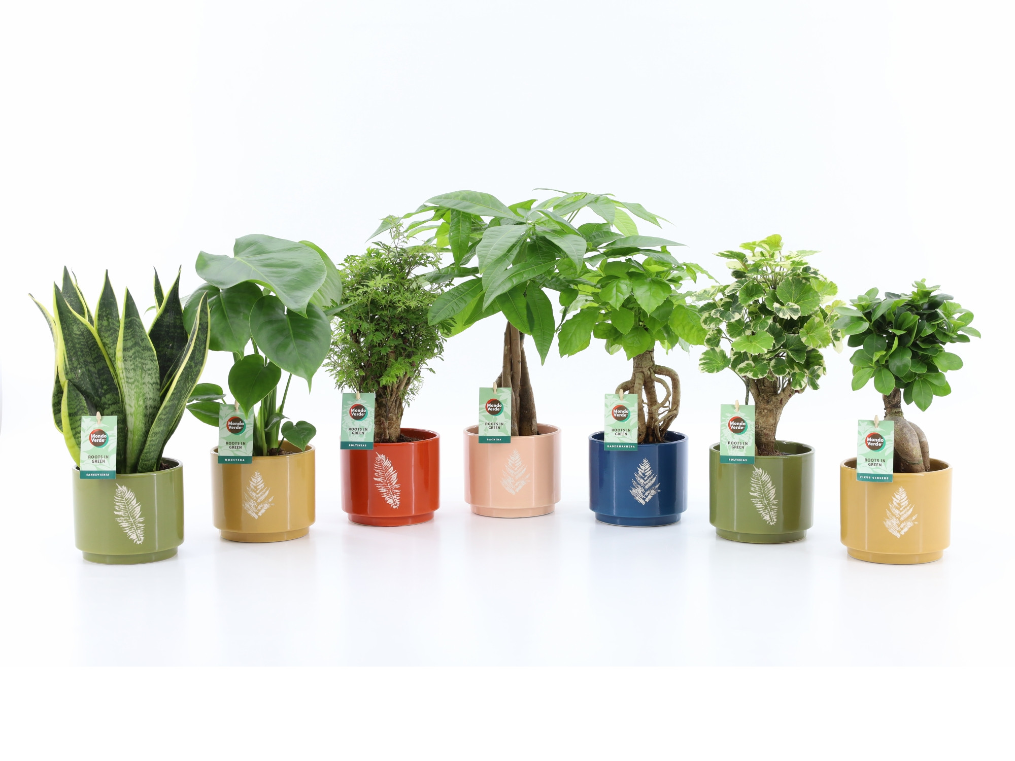 Exotic Green Mix in Artistique Keramiek, D 13