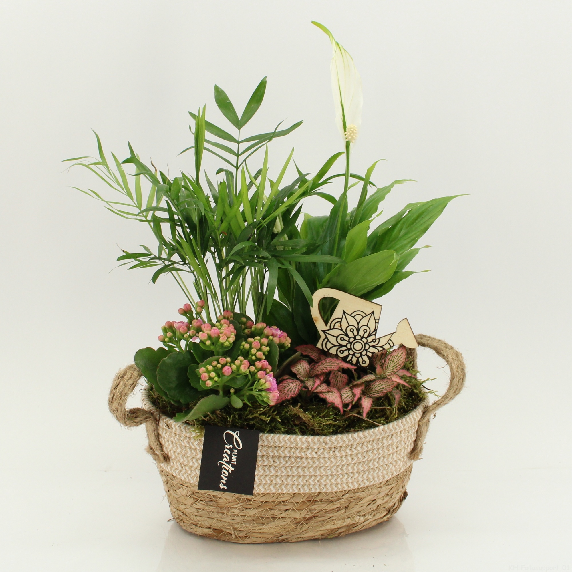 FDCR-2618RZ Basic Fundamentals, D 24