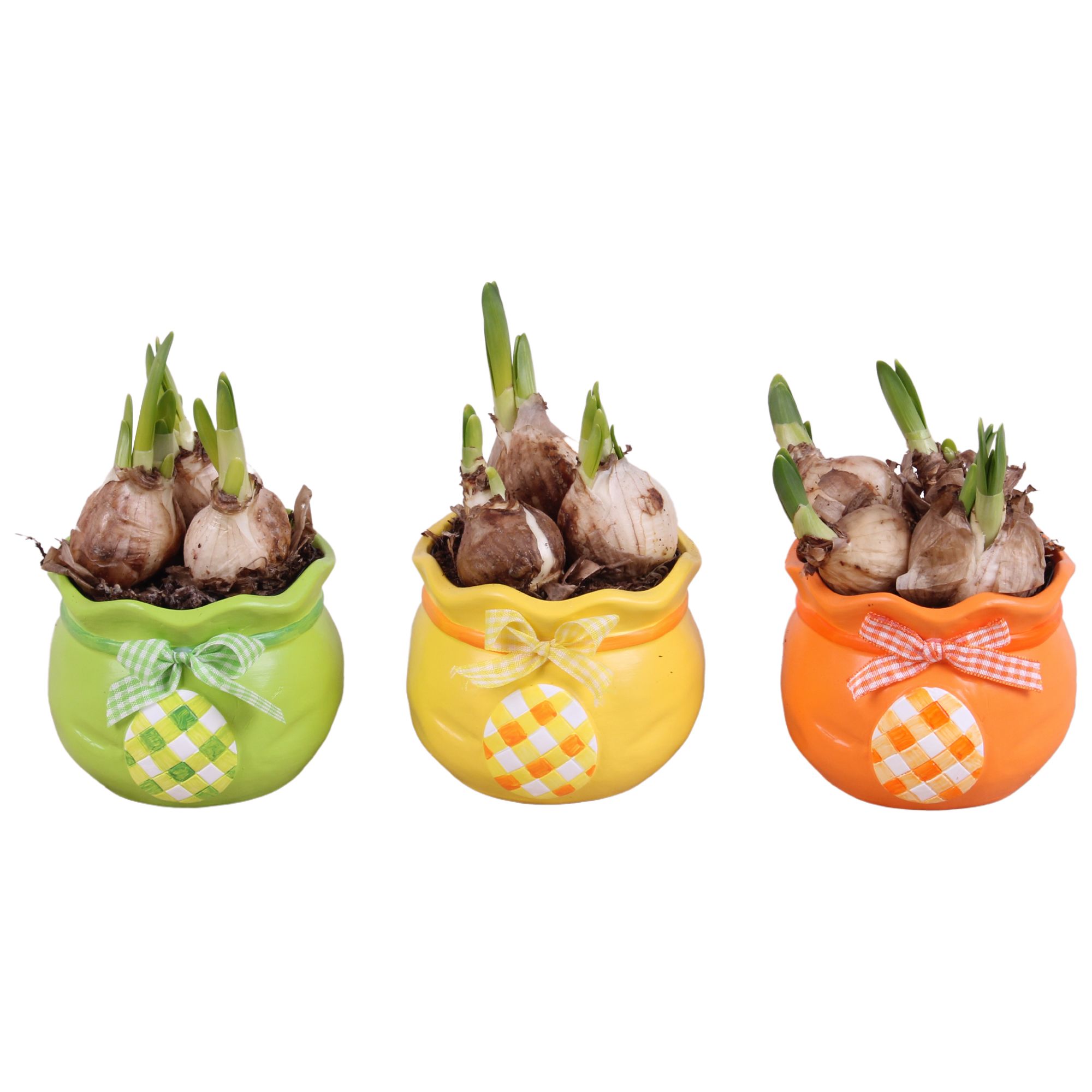 Easter Arr. Narcis Ceramic Colorful Egg Bag Mix Ø10cm, D 10