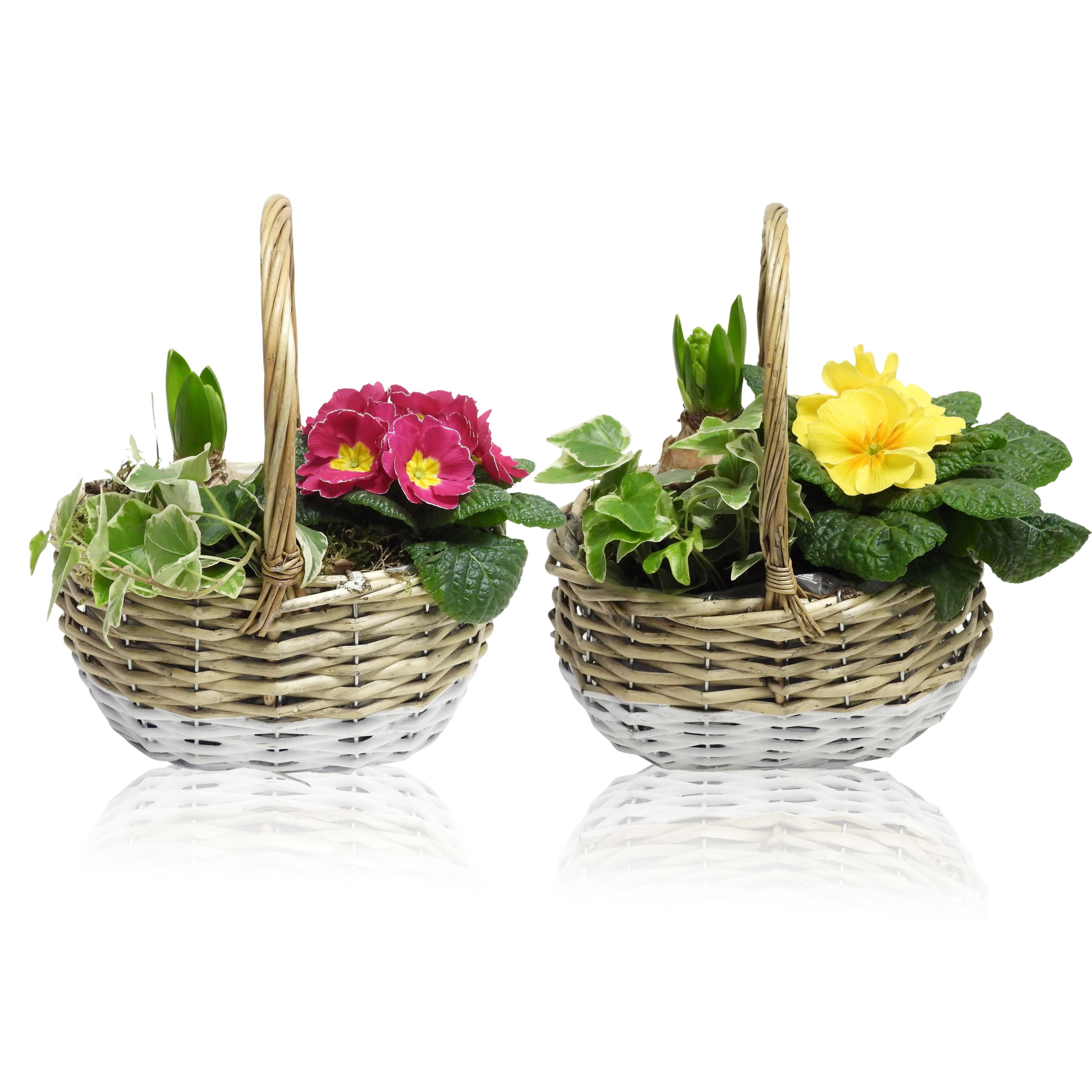 Early Spring Specials Arrangement Hyacint Mand met Hengsel Ovaal 22 cm, D 22