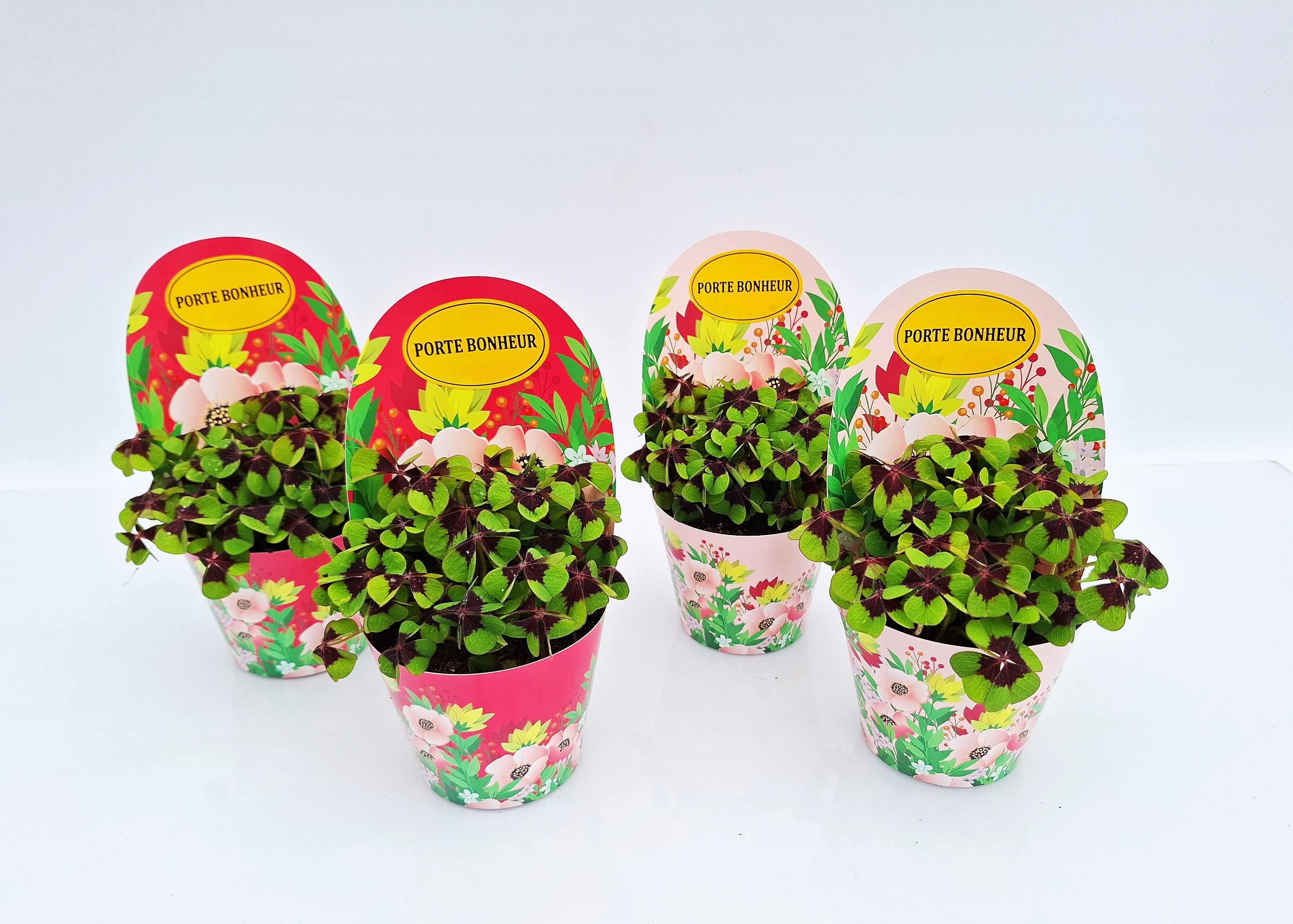 Gelukpotje Porte Bonheur, D 9 cm