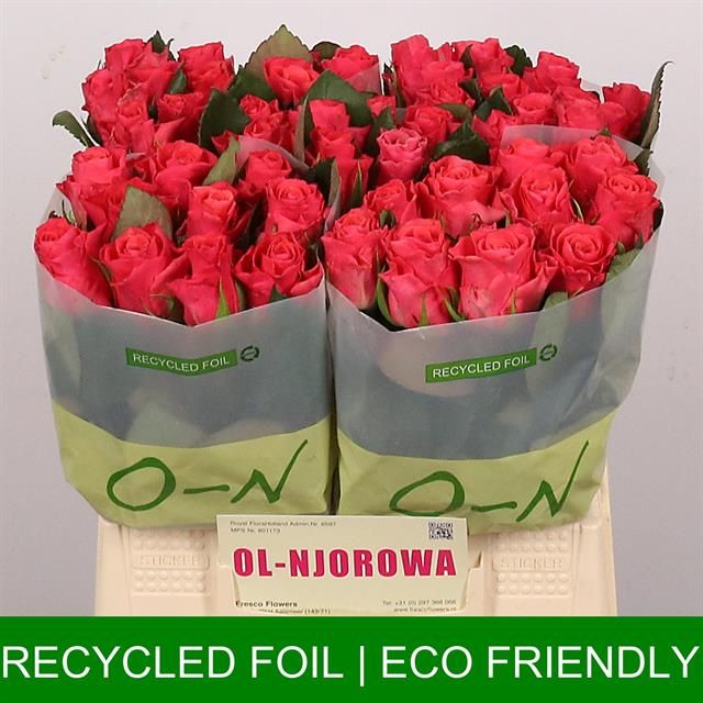 Роза од. Пинк Такази+ 40, шт.