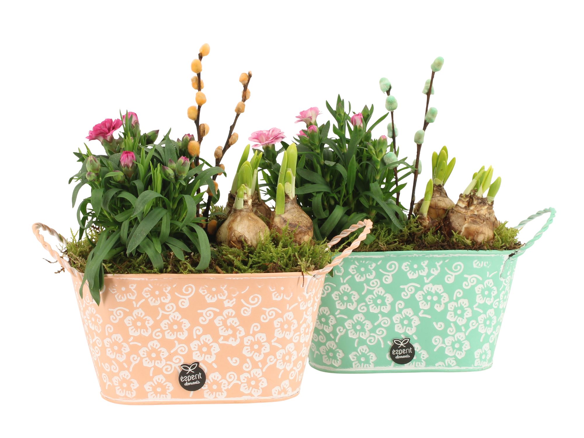 11644: Outdoor spring arrangement, D 19