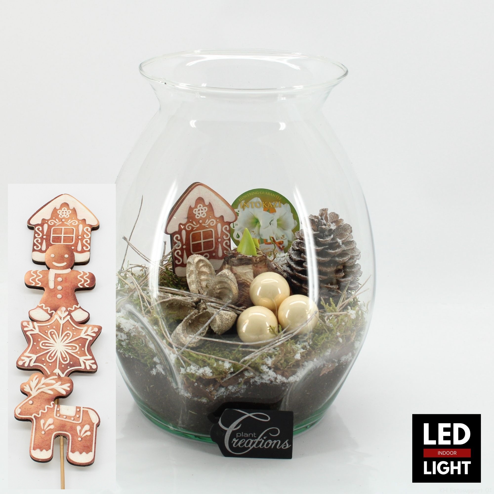 HICR-2509WLED Kerst Amaryllis terrarium, D 22 cm