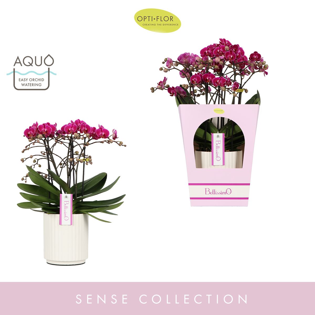 Bellissimo Amore in Molise White Aquo Giftbox, D 15 cm