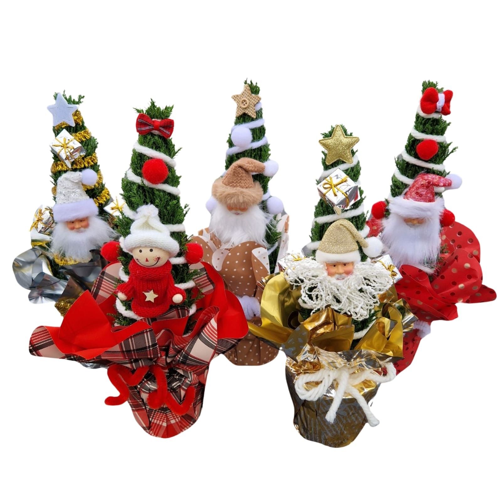 Christmas Puppets® - Chamaecyparis Ellwoodii, D 9 cm