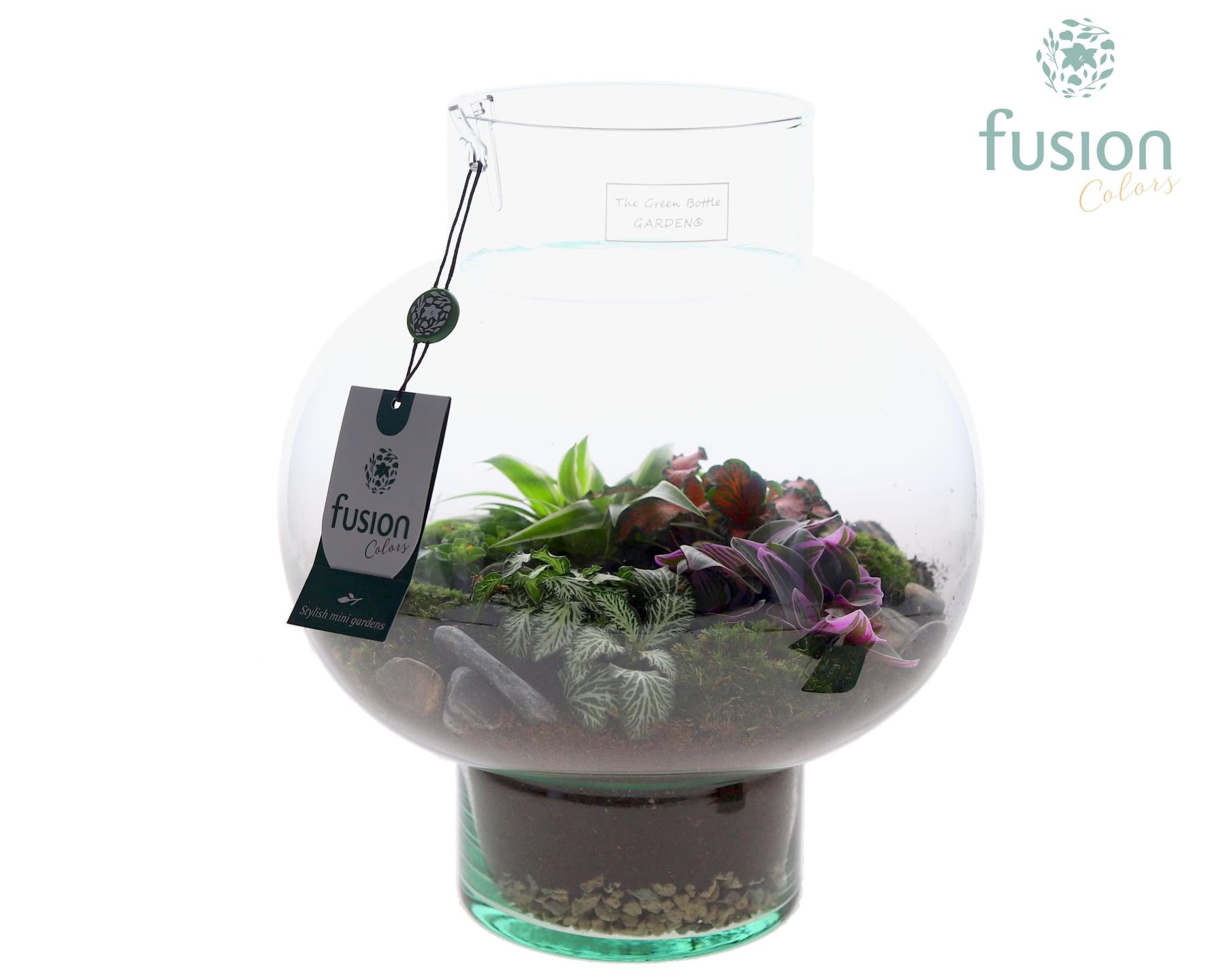 Green Bottle Laura Medium met arrangement, D 26