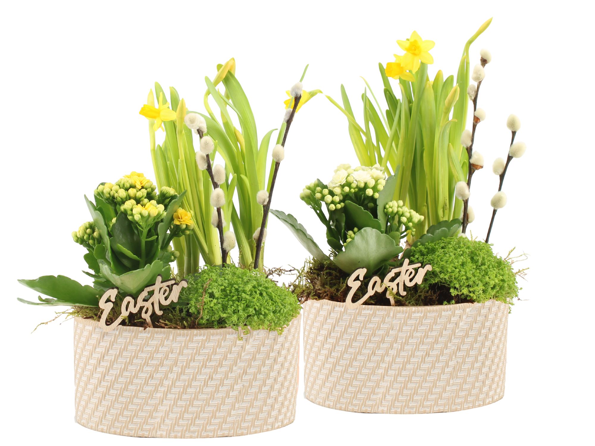 70799: Easter arrangement, D 17