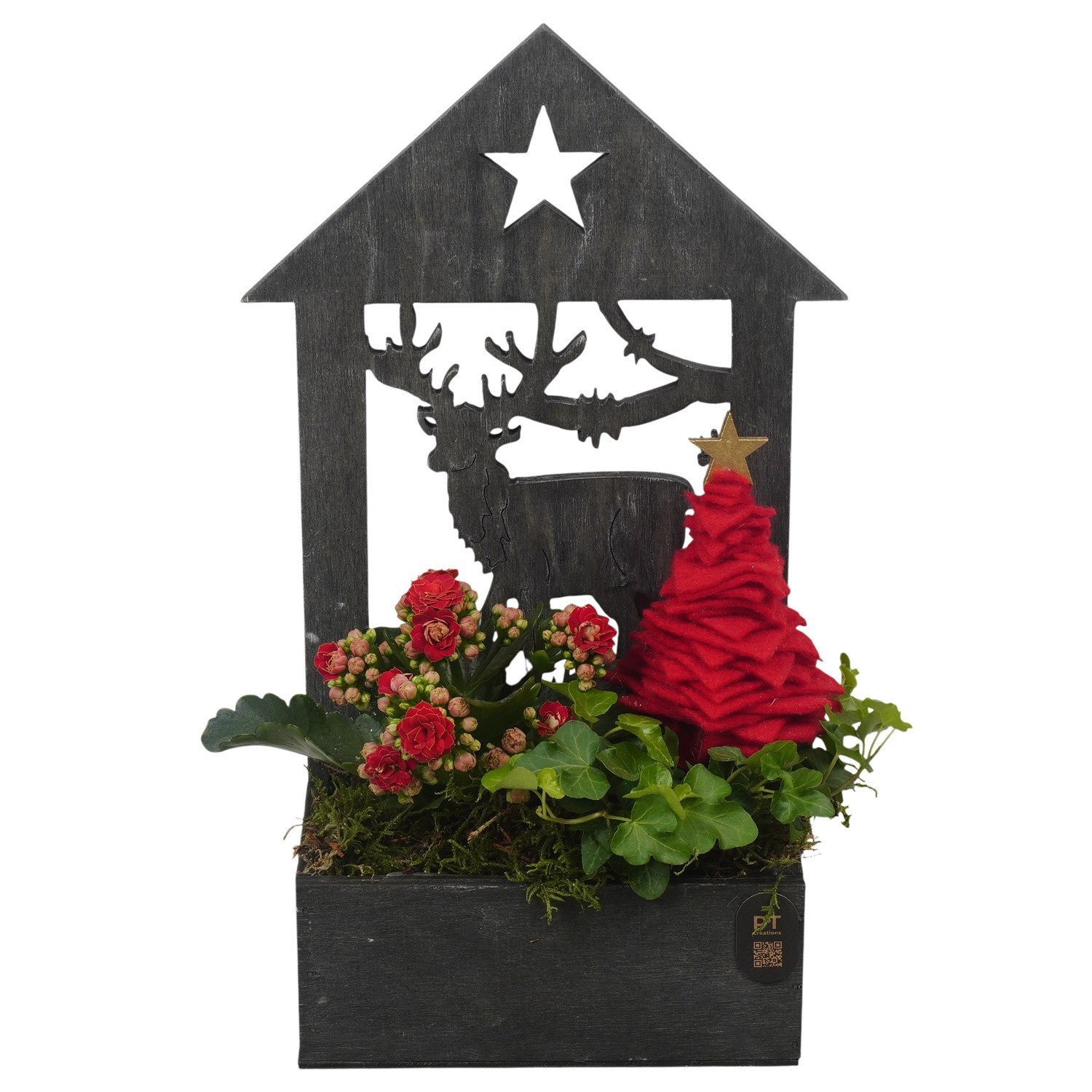 PTCHR9643 Arrangement Christmas Red in houten bak, D 16