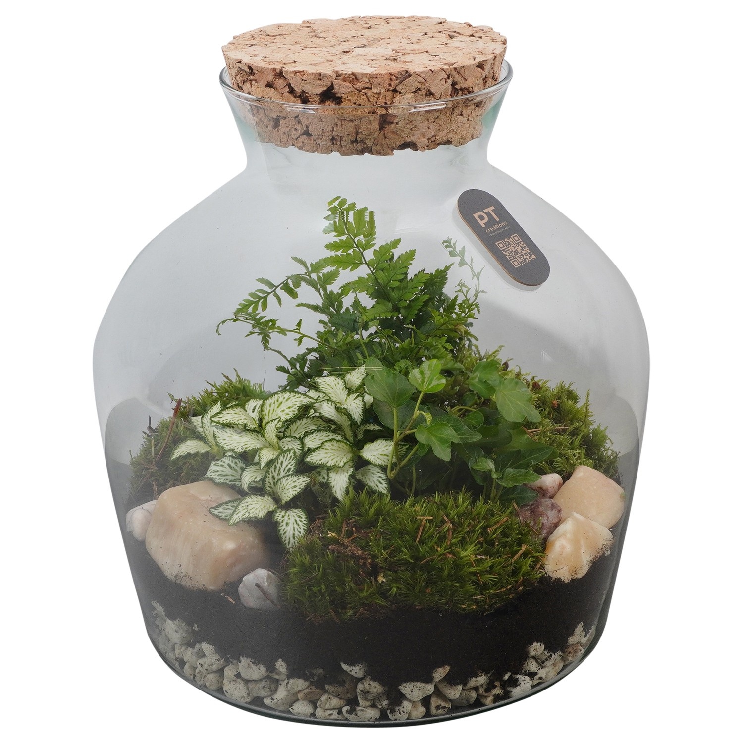PTTER8112 Arrangement terrarium in glazen terrarium, D 24