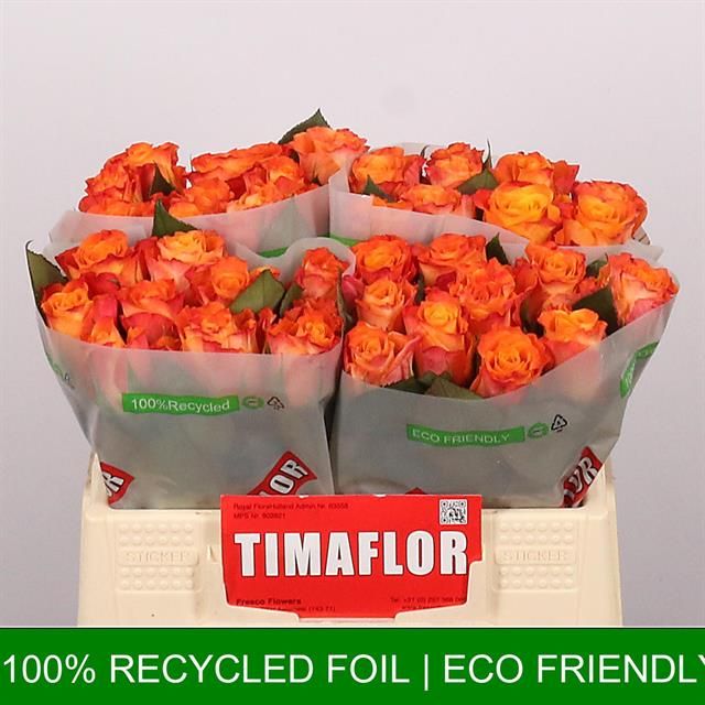 Роза од. Марио! 35, шт.