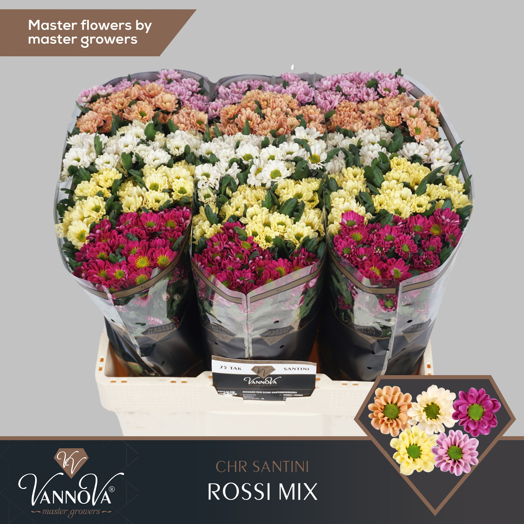 Сантини Росси Микс в баке, шт.