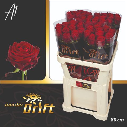 Роза од. Рэд Наоми 80, шт. Роза од. Рэд Наоми 80, шт.