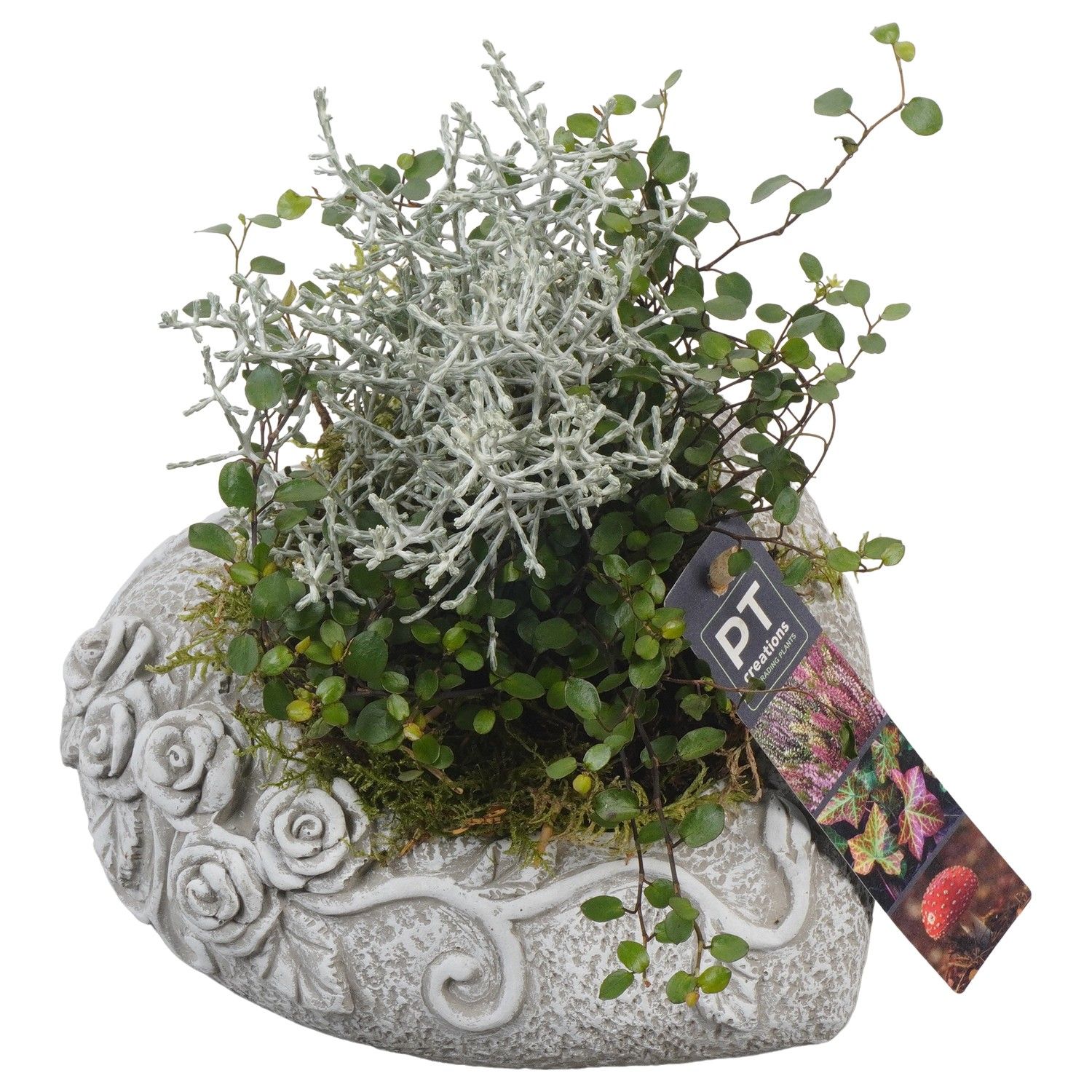 PTAH8610 Arrangement Allerheiligen in beton hart, D 18 cm PTAH8610 Arrangement Allerheiligen in beton hart, D 18 cm