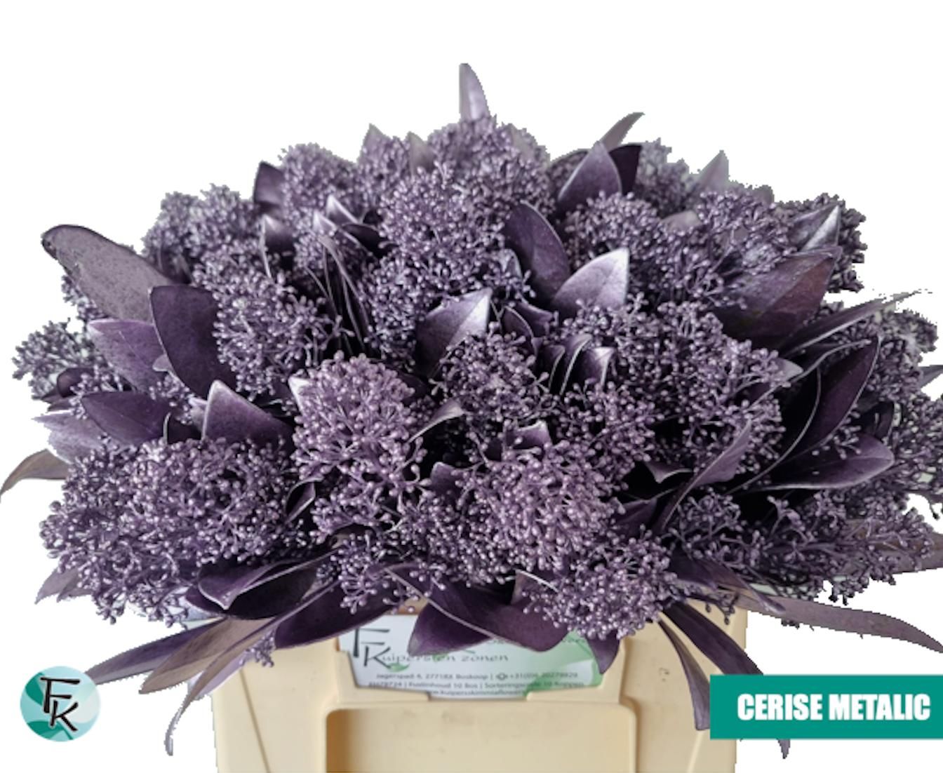 Скимия Овериг крашеный за пучок (краш. ) 45, пуч.