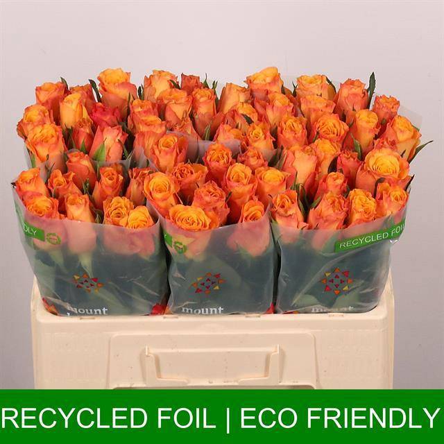 Роза од. Конфиденшиал 50, шт.