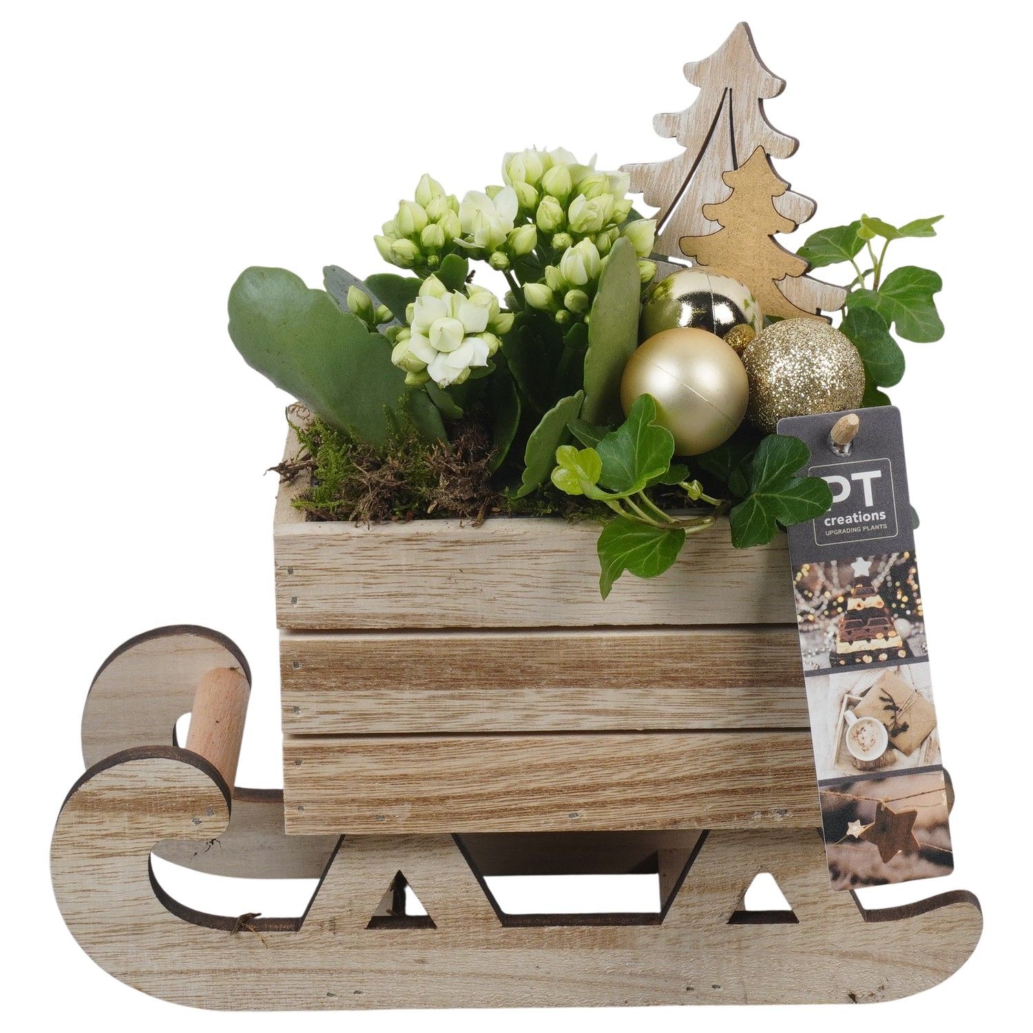 PTCHG5697 Arrangement Christmas Gold in houten slee, D 24 cm