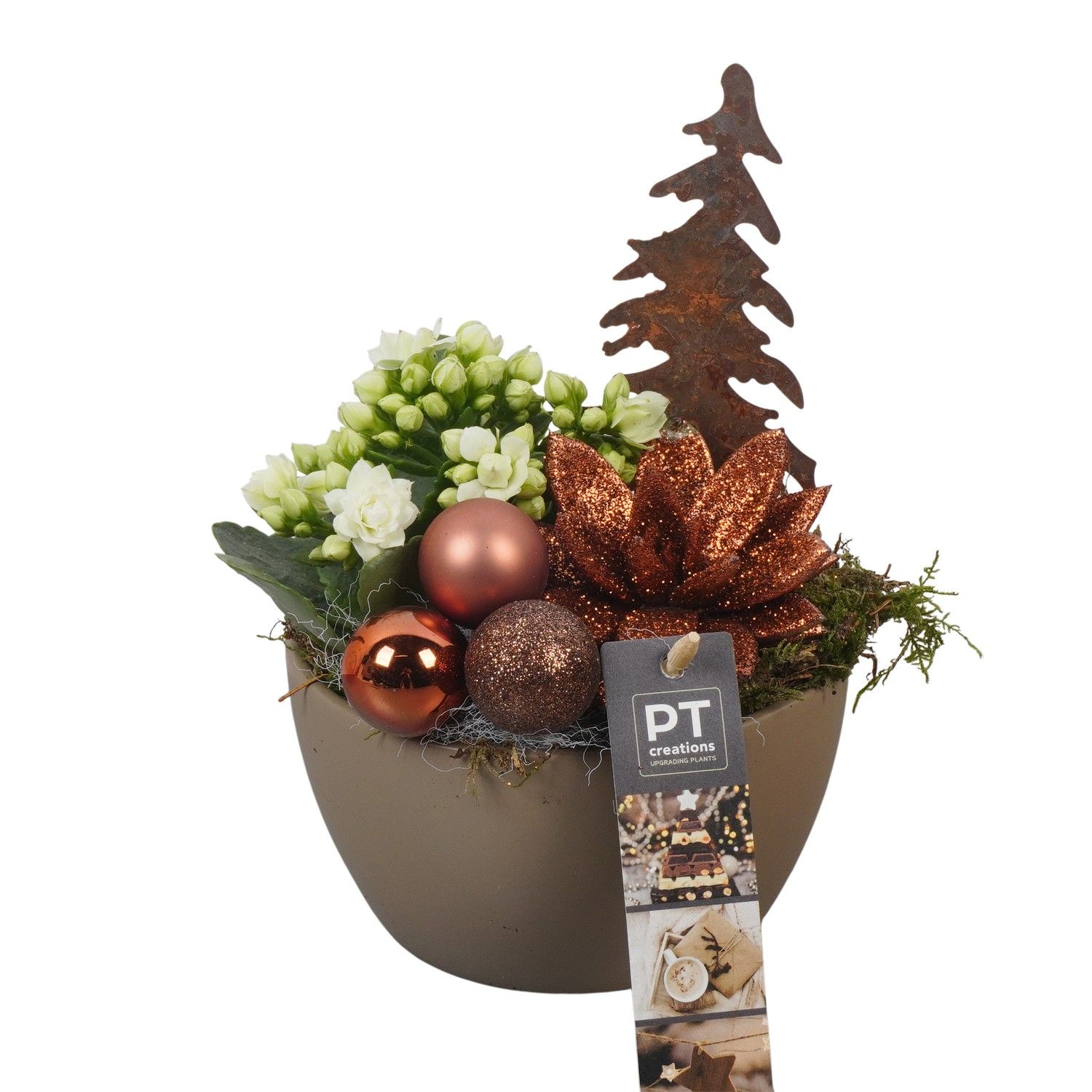 PTCHB9722 Arrangement Christmas Bronze in keramiek schaal, D 14 cm