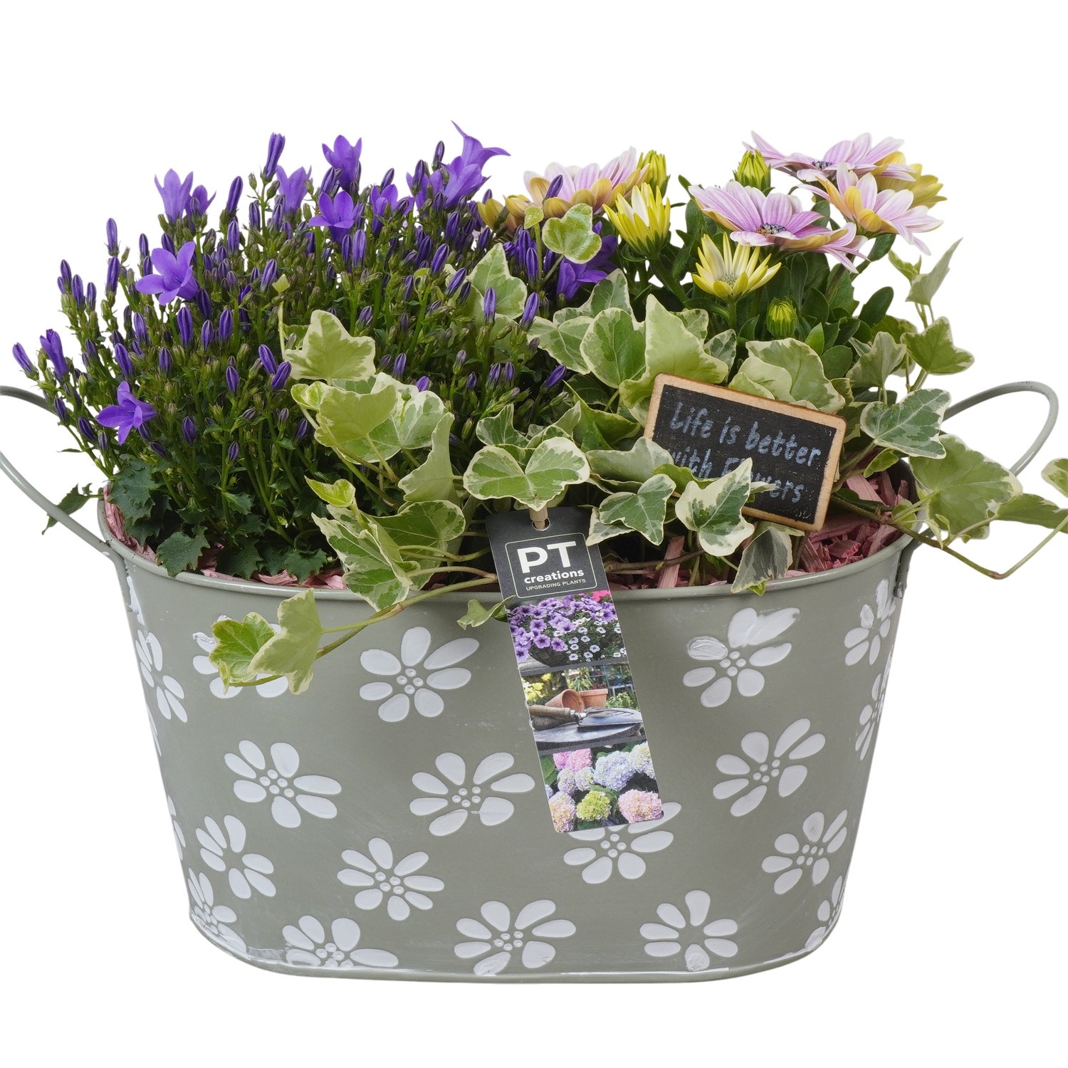 PTPP6901 Arrangement Patio in metalen pot, D 27