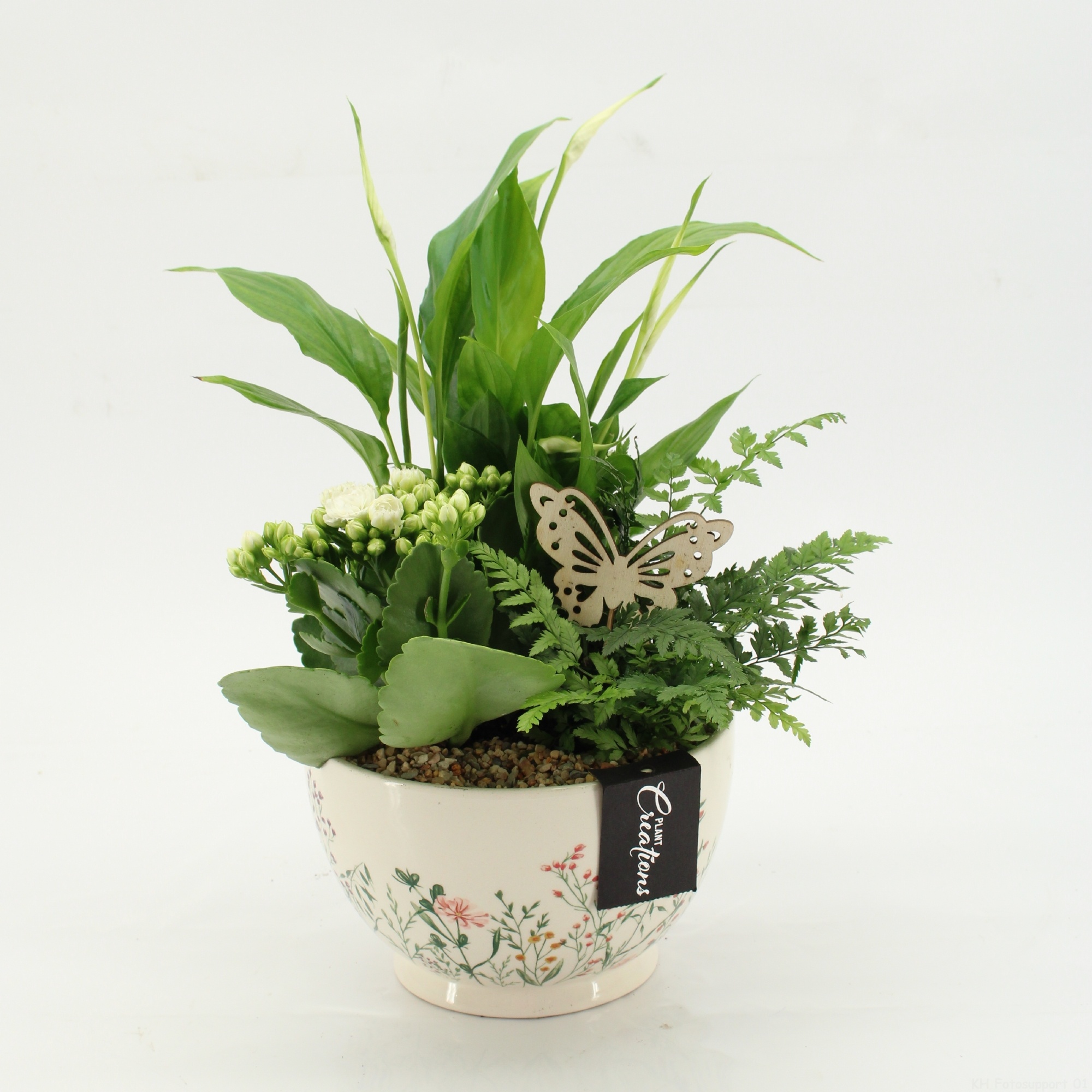 ESCR-2602W Essentials, D 17