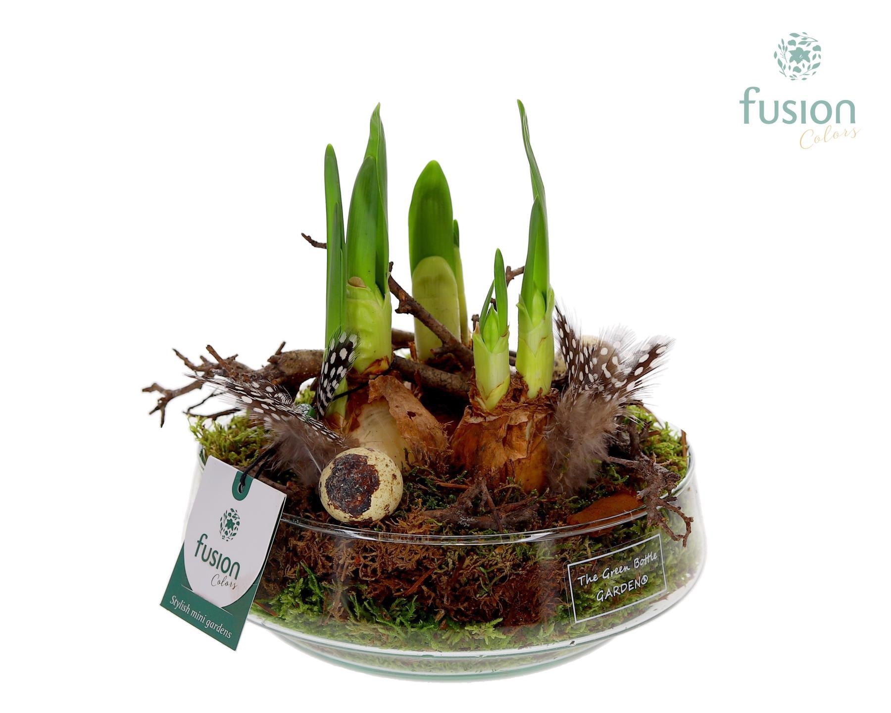 Green Bottle Iris Medium met Pasen arrangement, D 19
