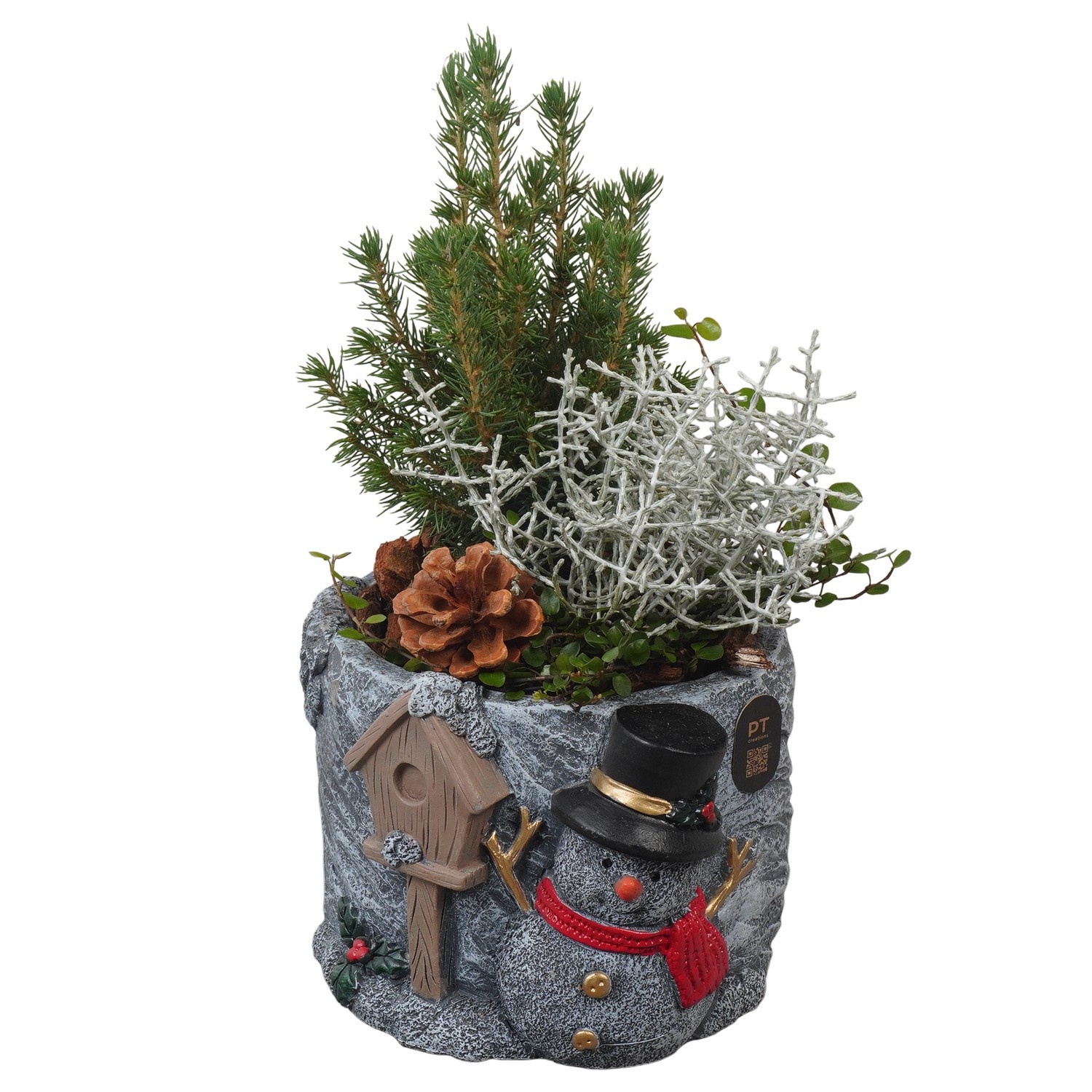 PTWO2860 Arrangement Winter Outdoor in beton pot, D 18