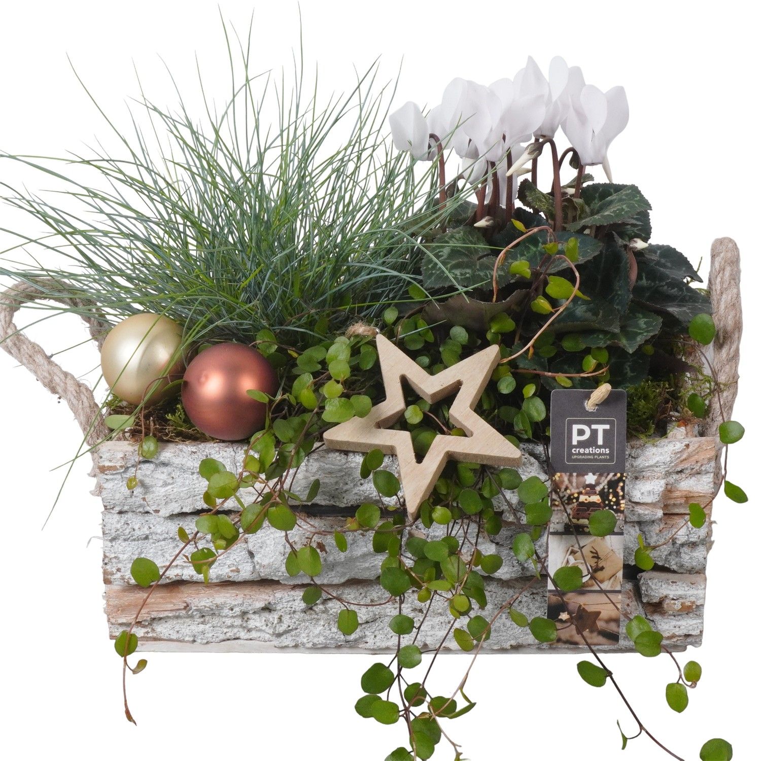 PTWO1909 Arrangement Winter Outdoor in houten bak, D 25