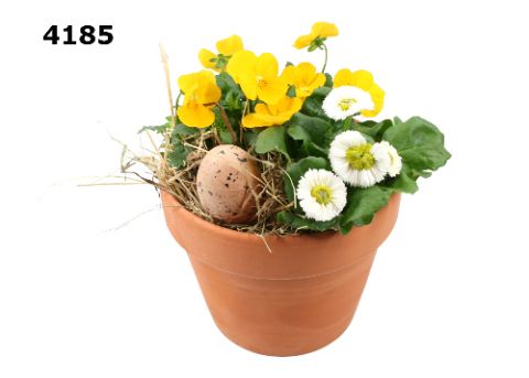 Pasen roodsteen azaleapot M mixpot, D 16