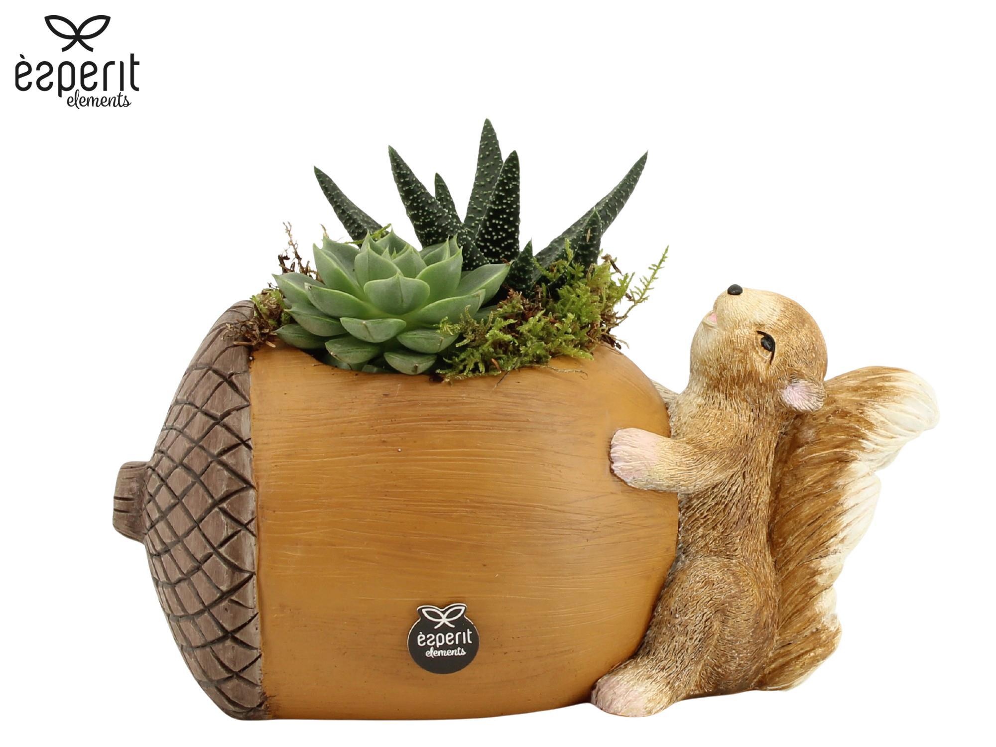 41770: Recreate arrangement, D 15