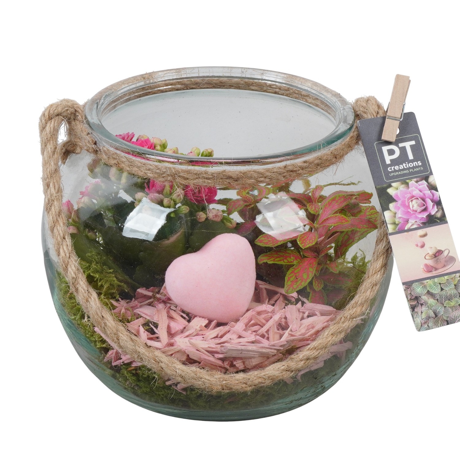 PTVMG4907 Arrangement Valentines-Mothersday in glas bol, D 19