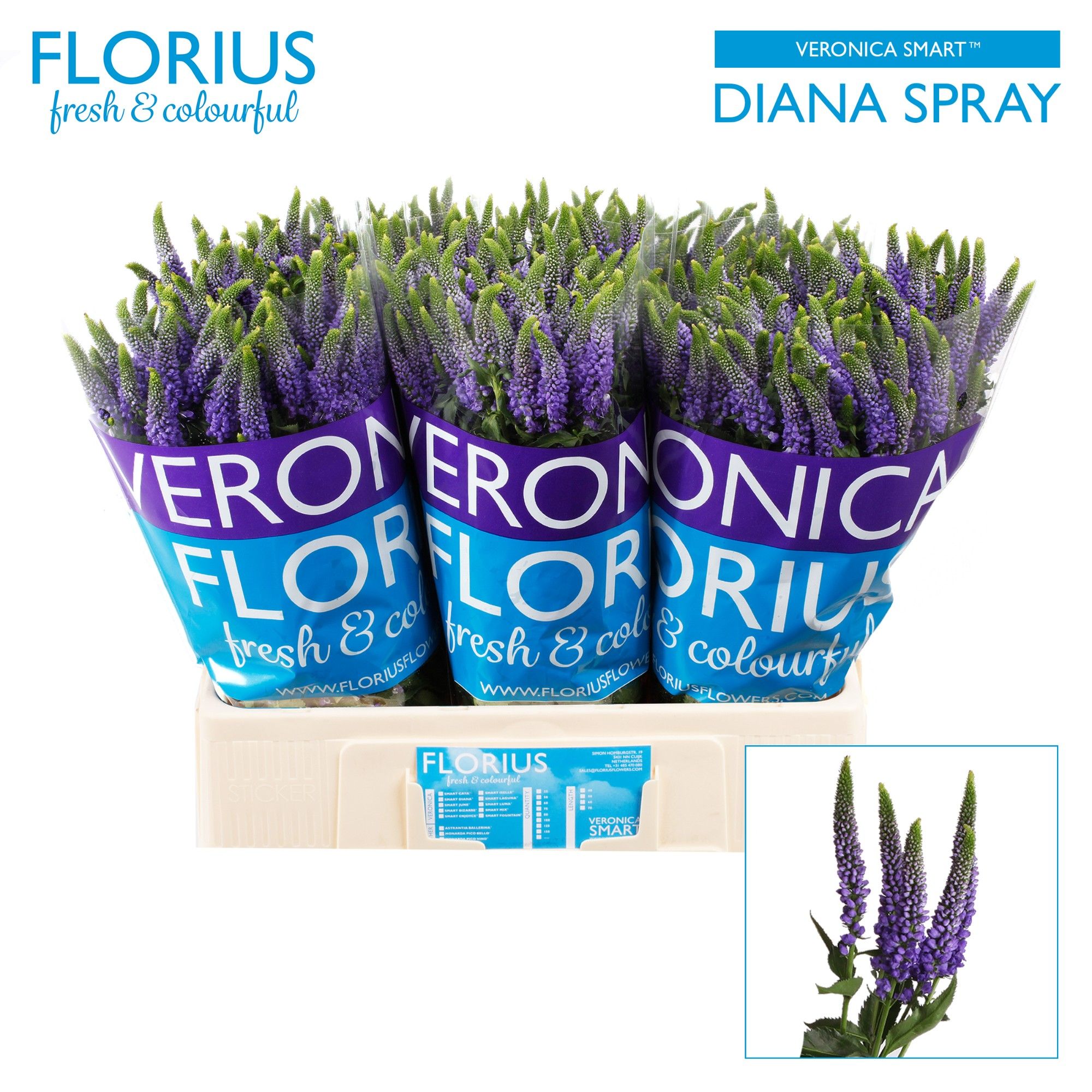 Вероника Смарт Диана 60, шт.