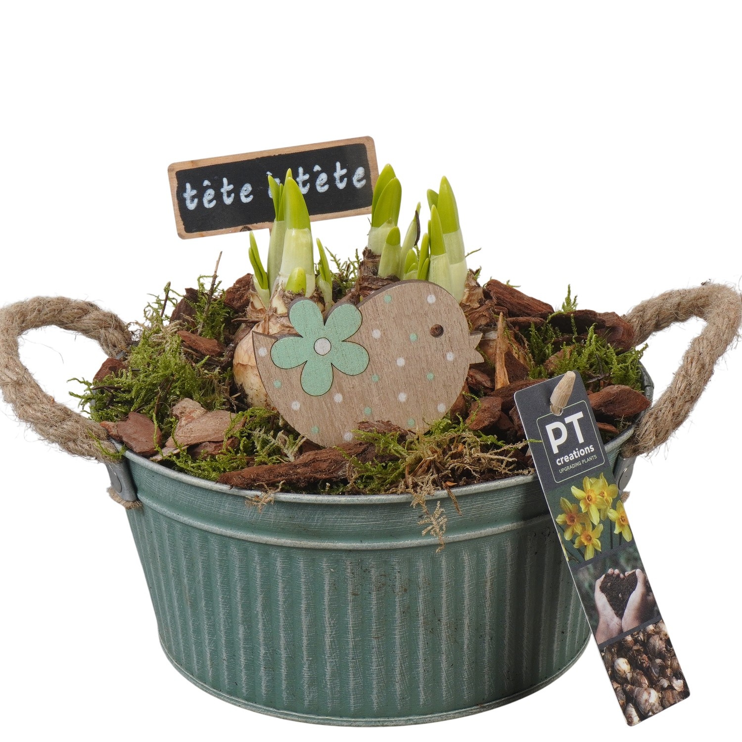 PTN8590 Arrangement Narcissus in zink pot, D 19