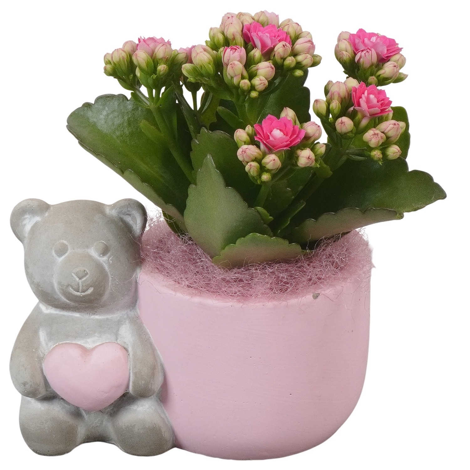 PTVMB2276 Arrangement Valentines-Mothersday in beton sierpot, D 12