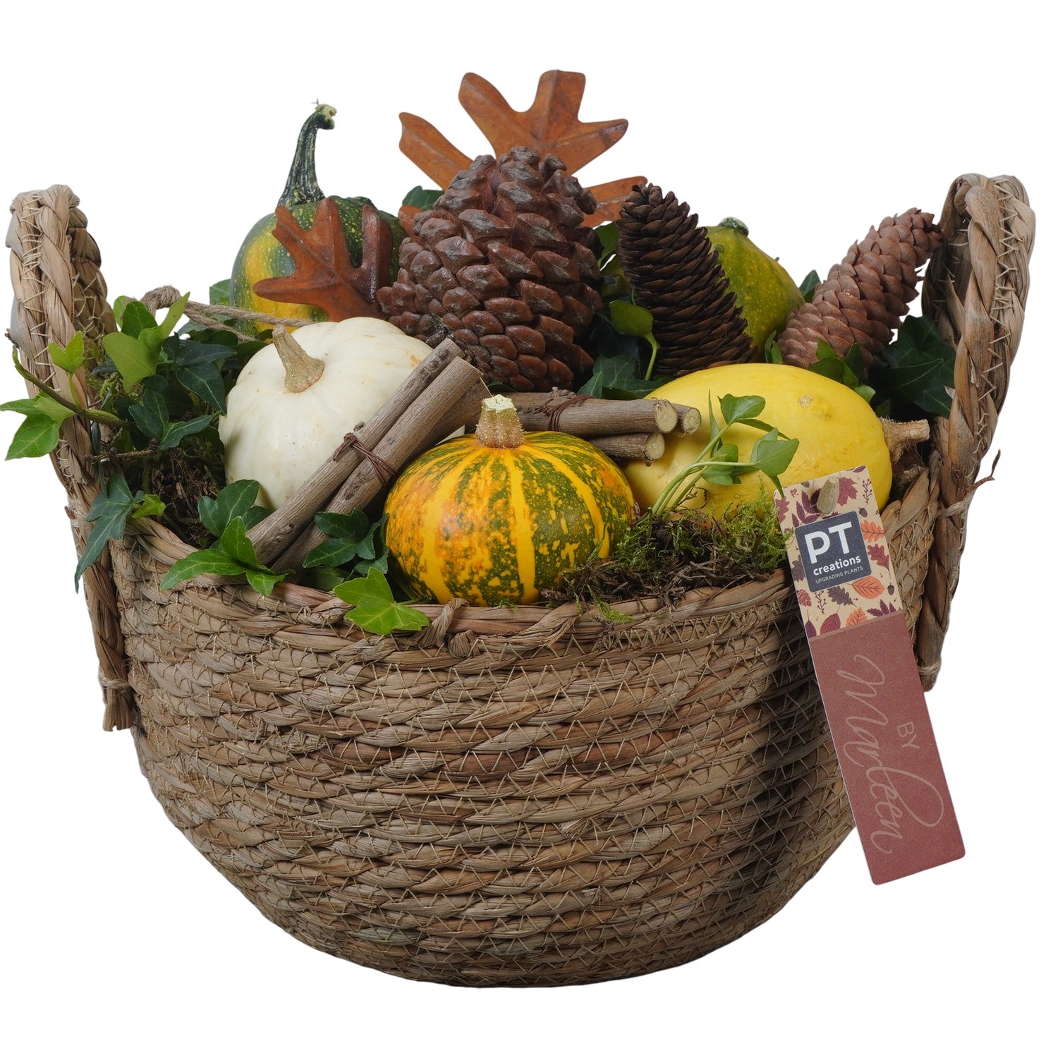 PTSF8236 Arrangement Kalebas hedera in rieten mand, D 25 cm