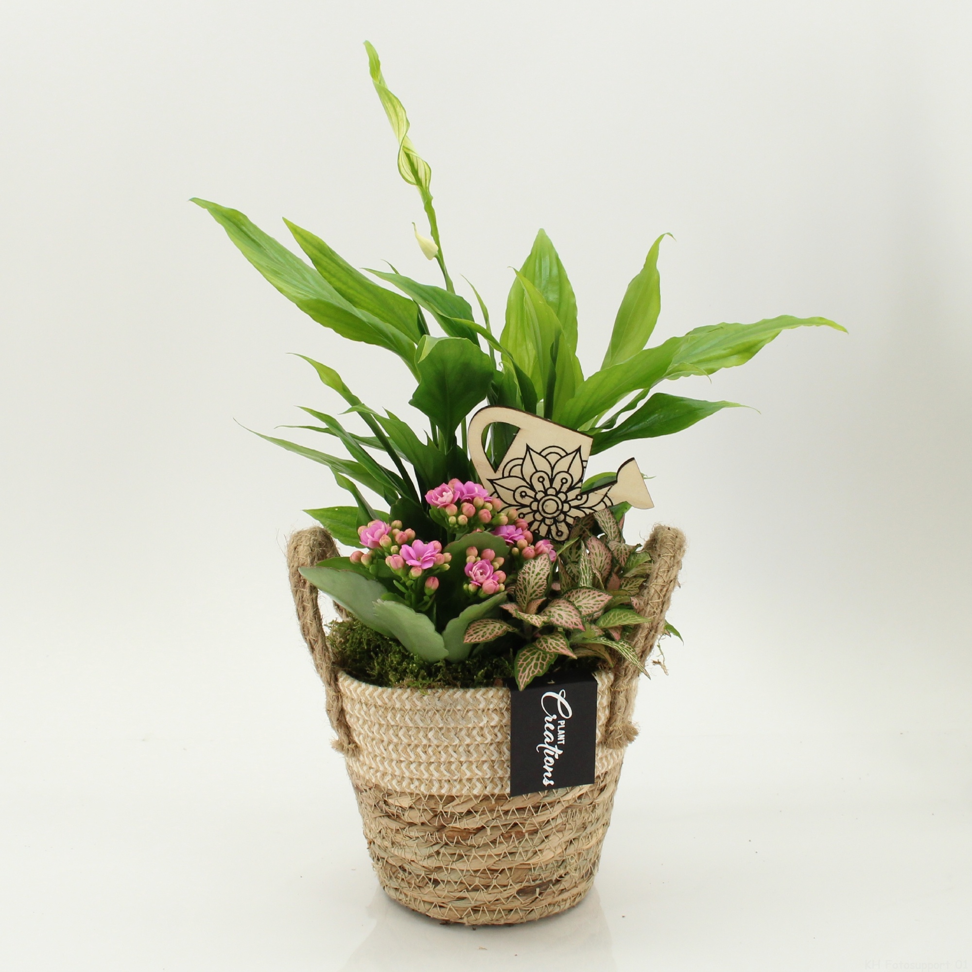 FDCR-2617RZ Basic Fundamentals, D 14