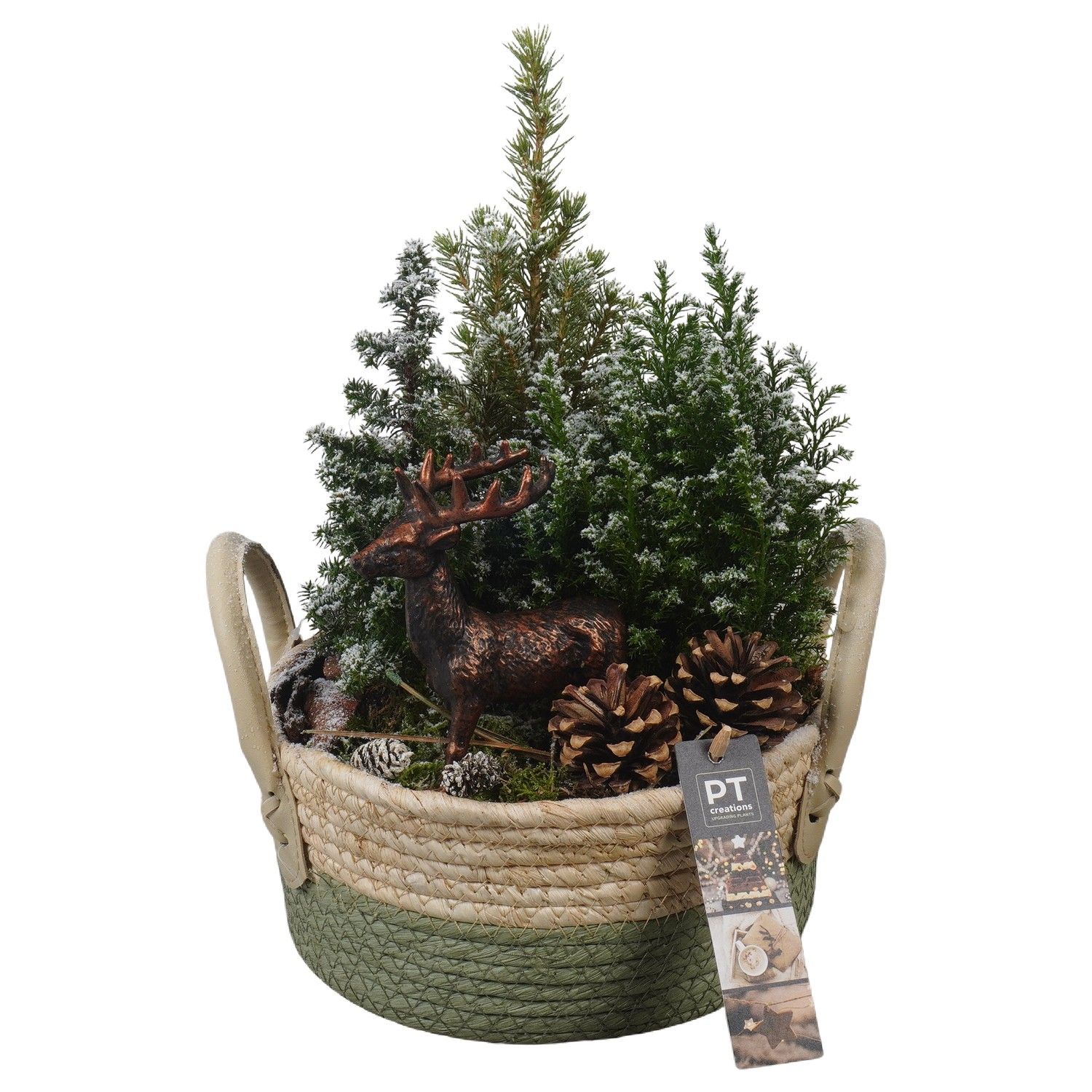 PTCWW6887 Arrangement Winter in rieten mand, D 21 cm