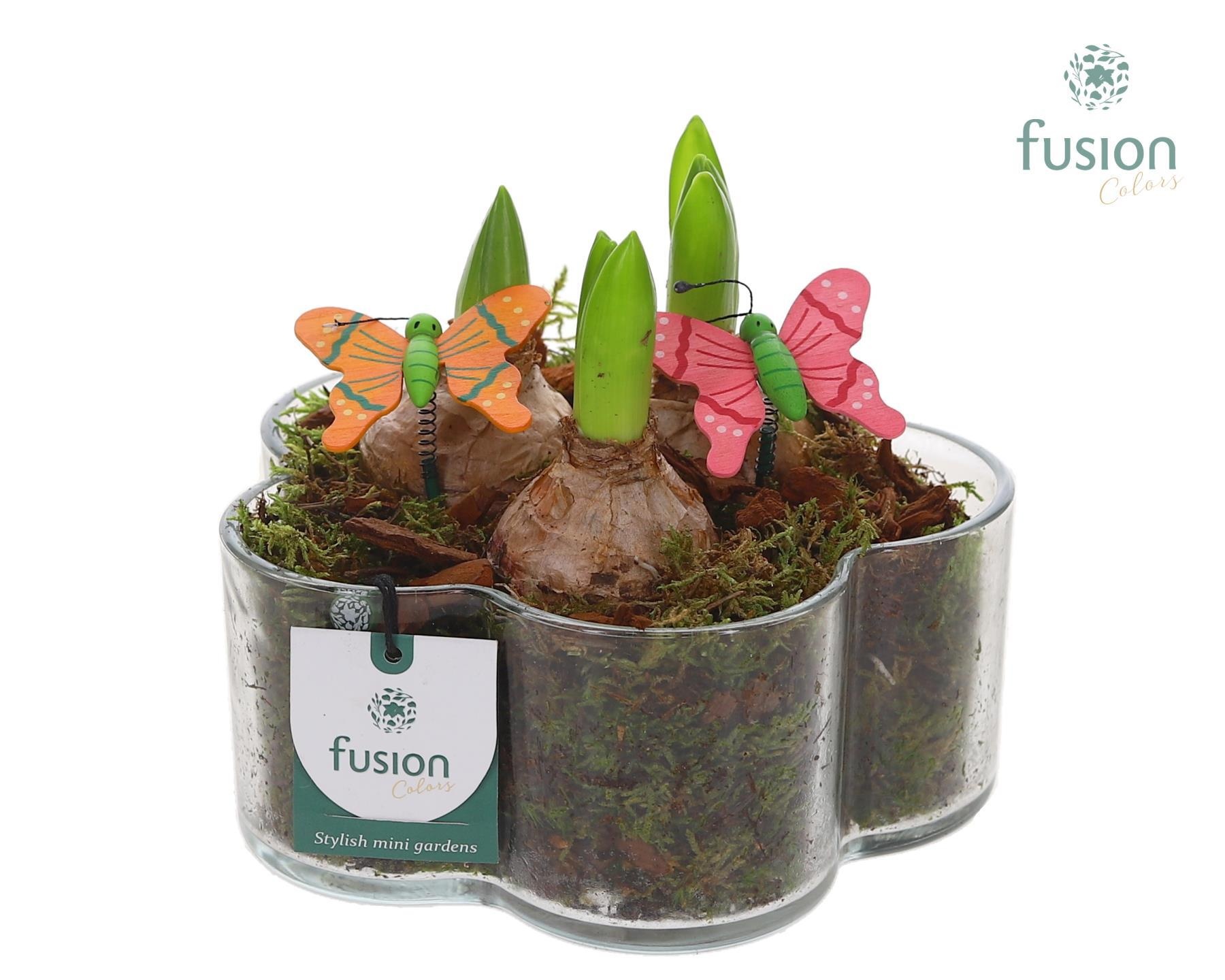 Glazen Bloemschaalmet Hyacinten, D 18