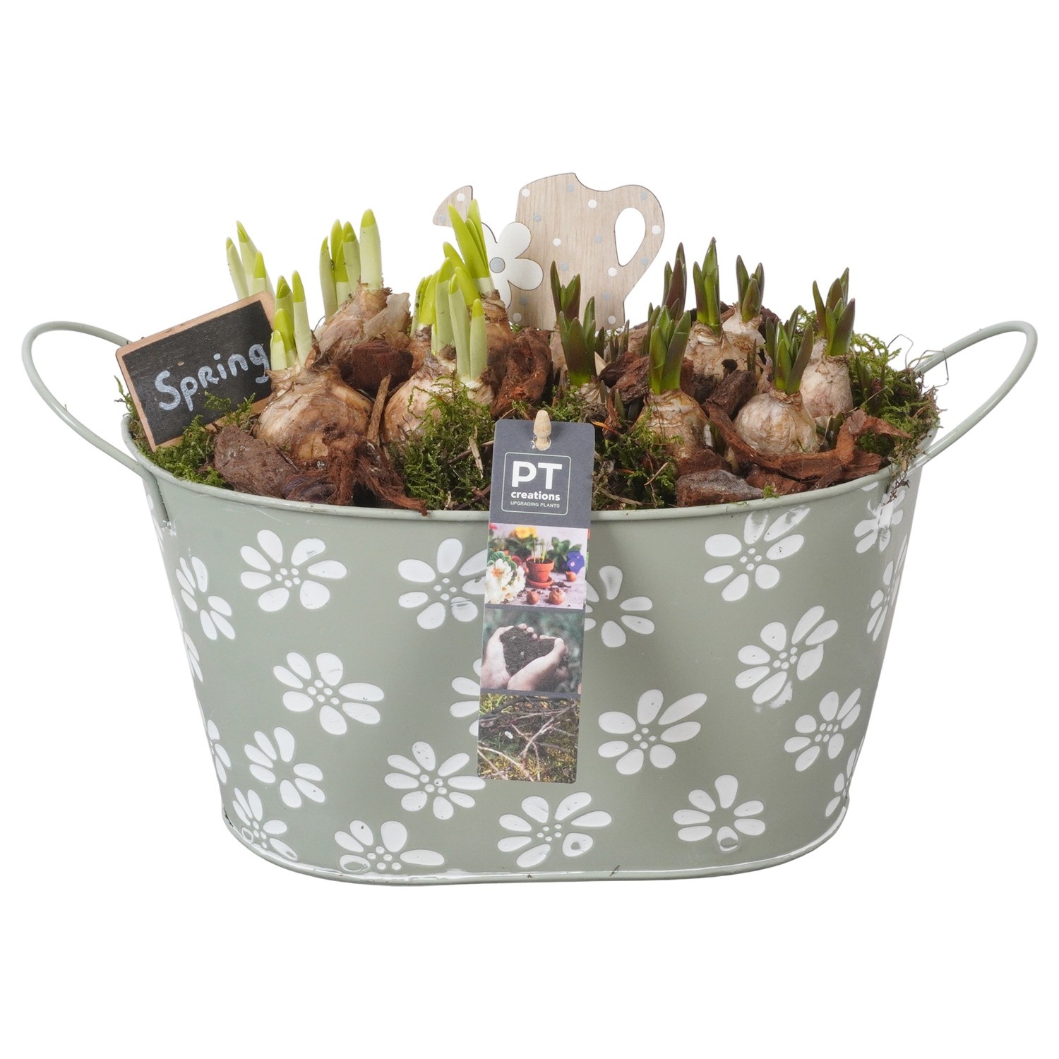 PTBM3761 Arrangement Flower Bulbs Mix in metalen pot, D 27