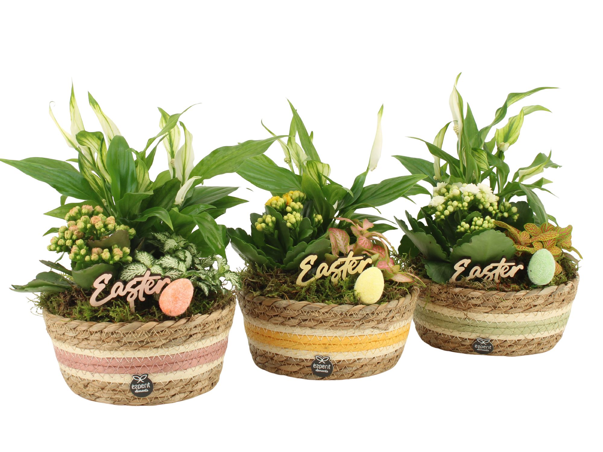 70873: Easter arrangement, D 17