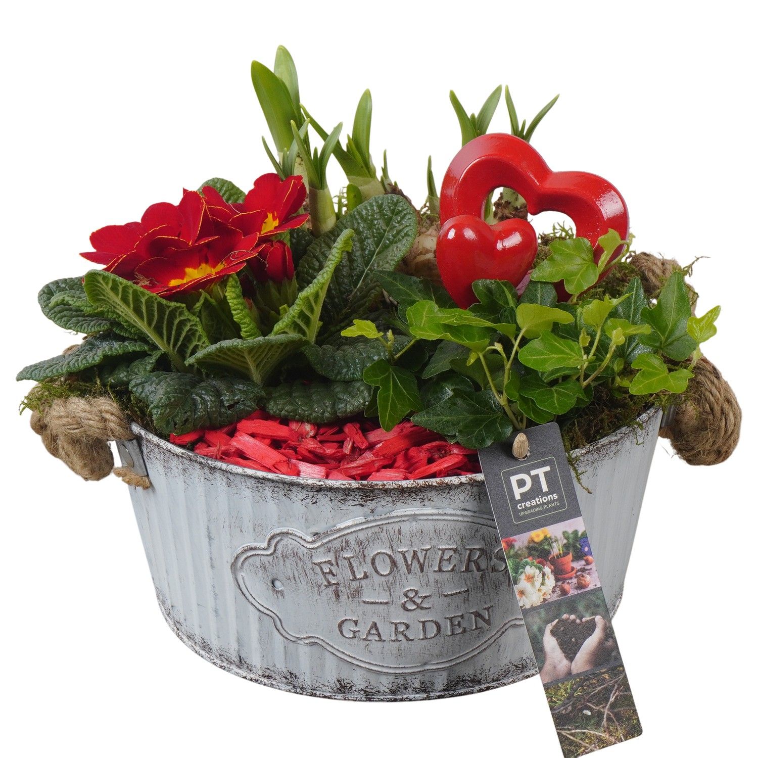 PTVO3607 Arrangement Valentine Outdoor in metalen schaal, D 22